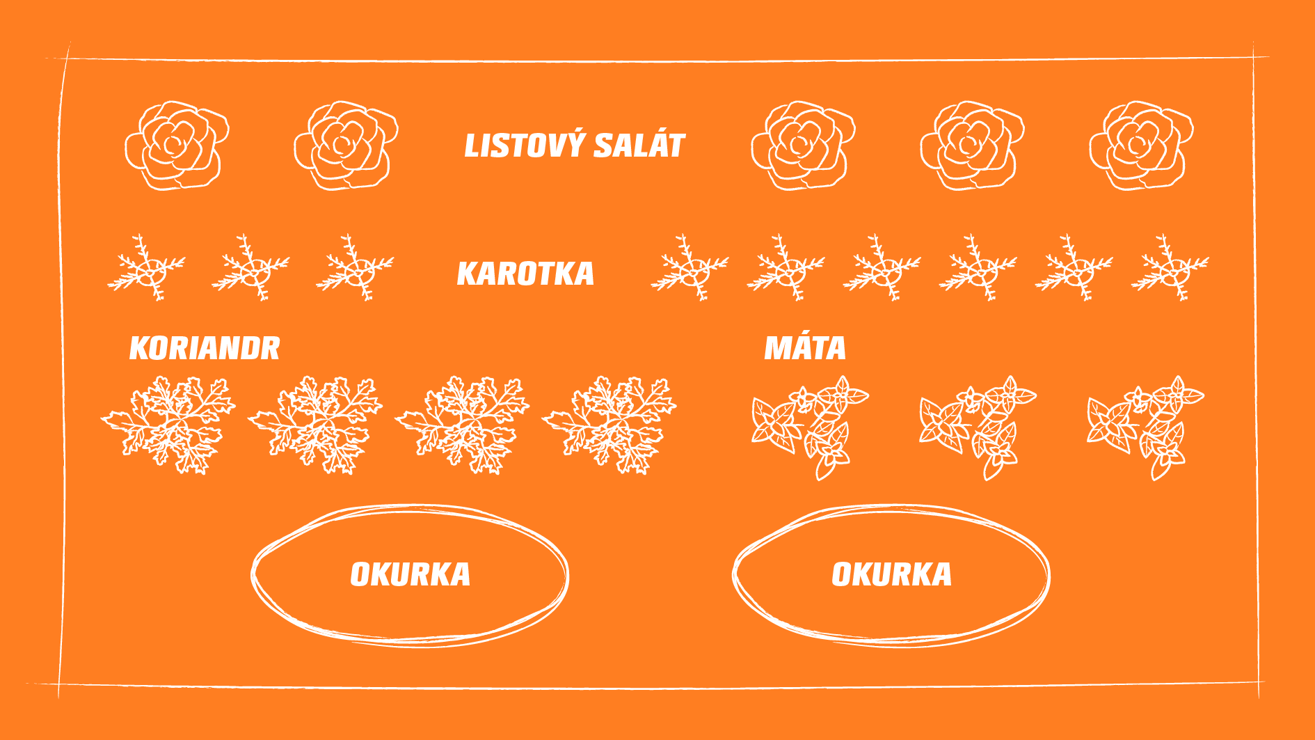 Přehledné grafické znázornění společného sázení salátu, mrkve, okurky, máty a koriandru