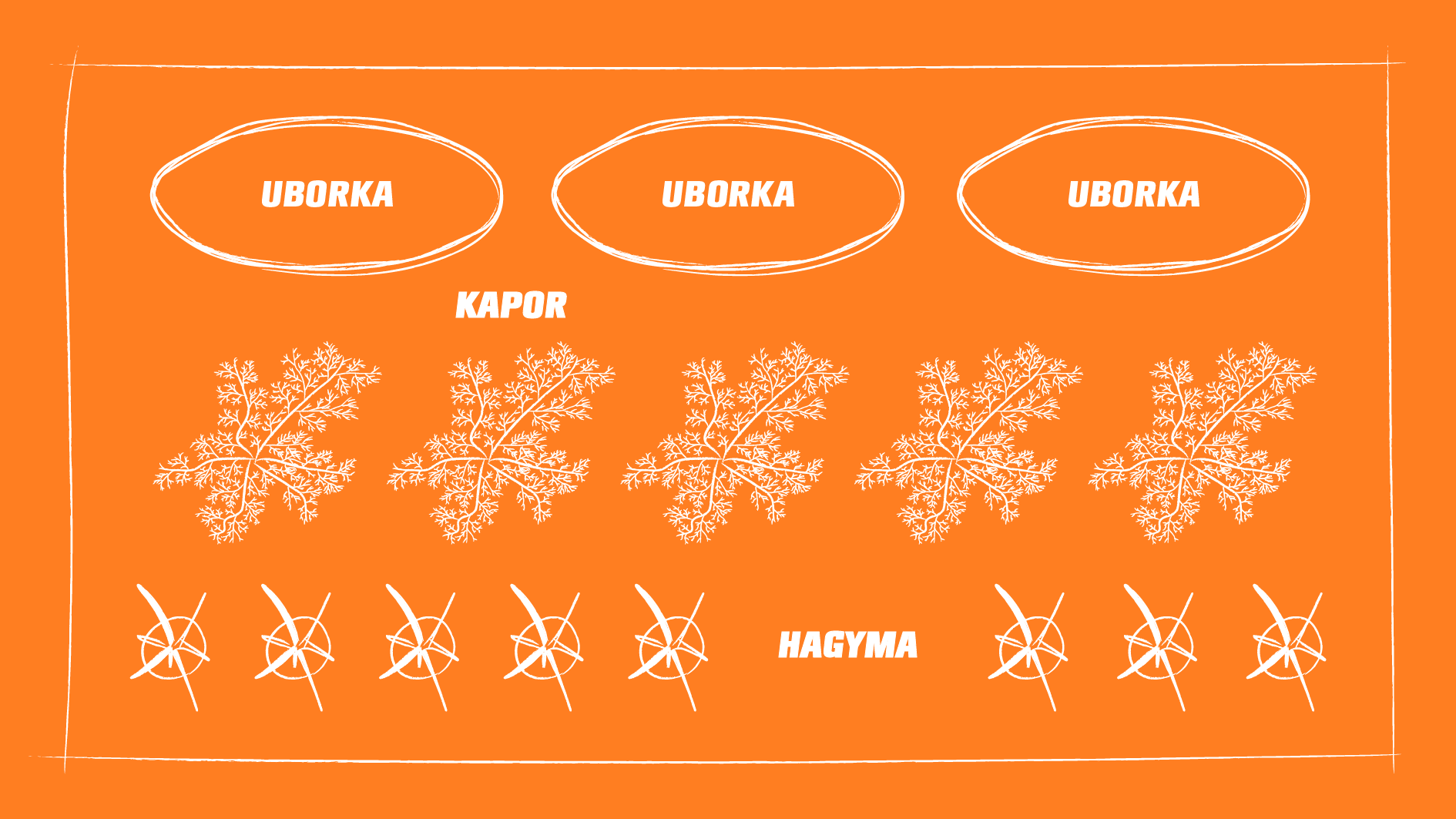 Uborka, kapor és hagyma együttes ültetésének áttekintő ábrája