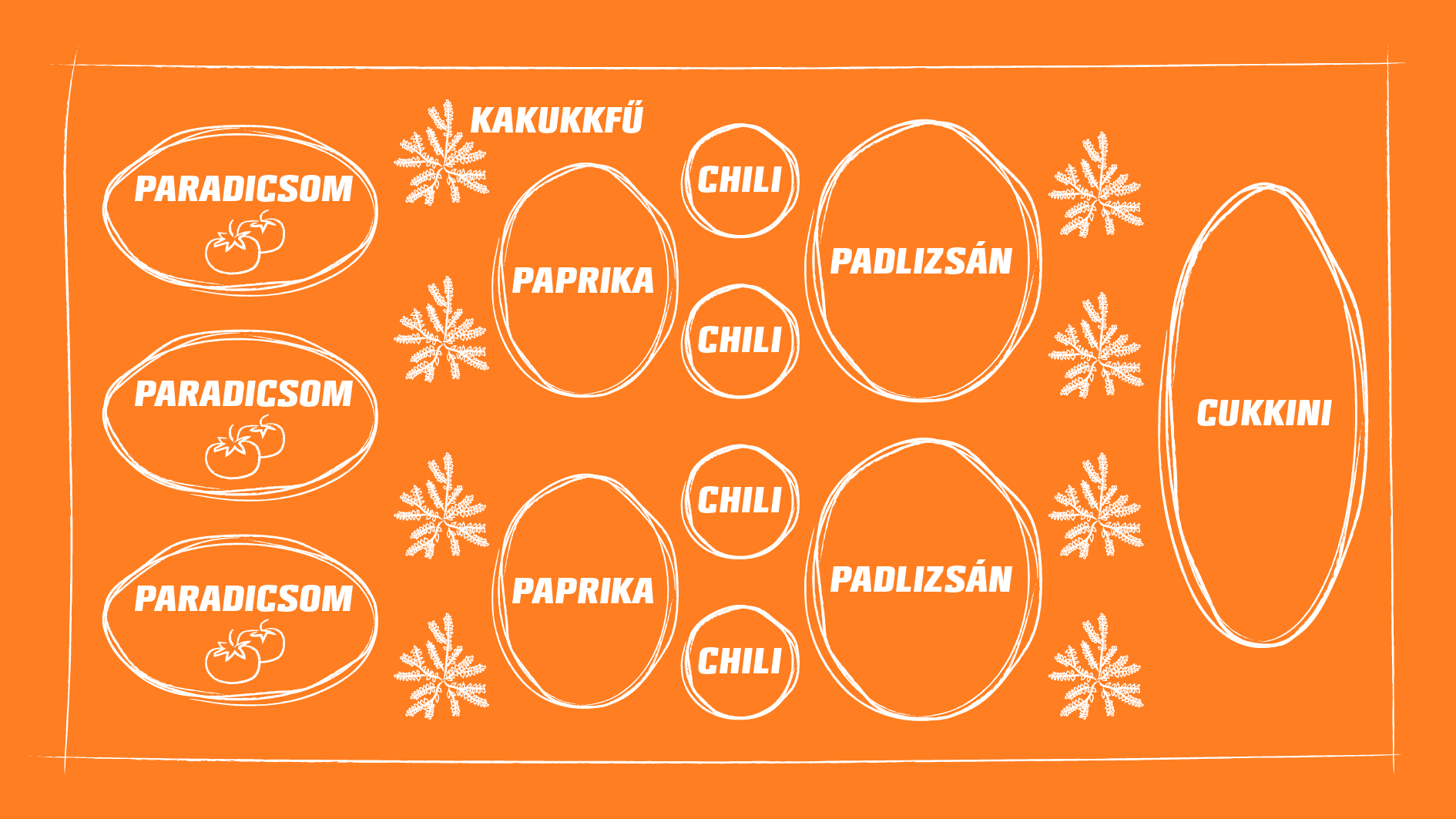Áttekintő ábra a paradicsom, a kakukkfű, a chili, a padlizsán, a paprika és a cukkini együttes ültetéséről