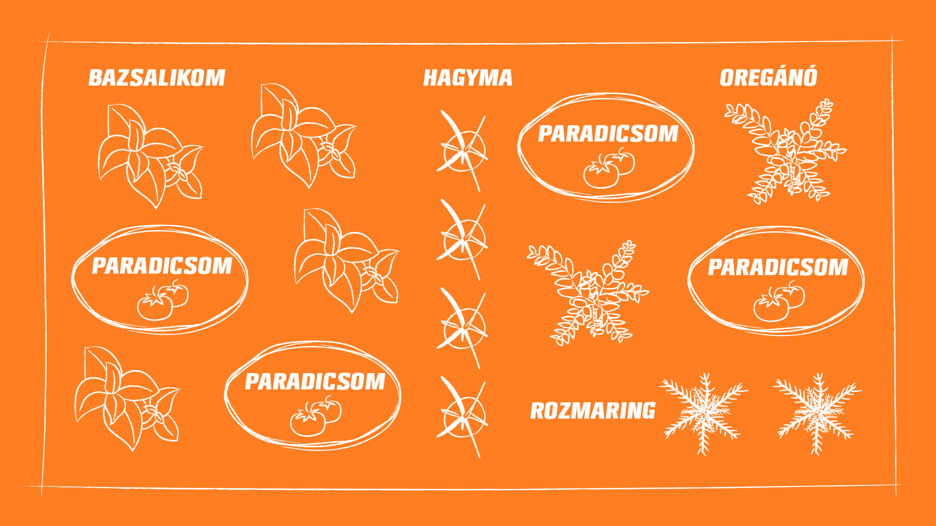 A bazsalikom, a rozmaring, a paradicsom, az oregánó és a hagyma együttes ültetésének áttekintő ábrája.