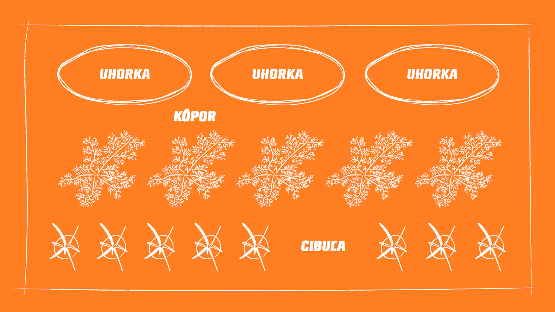 Prehľadná schéma spoločného pestovania uhoriek, kôpru a cibule