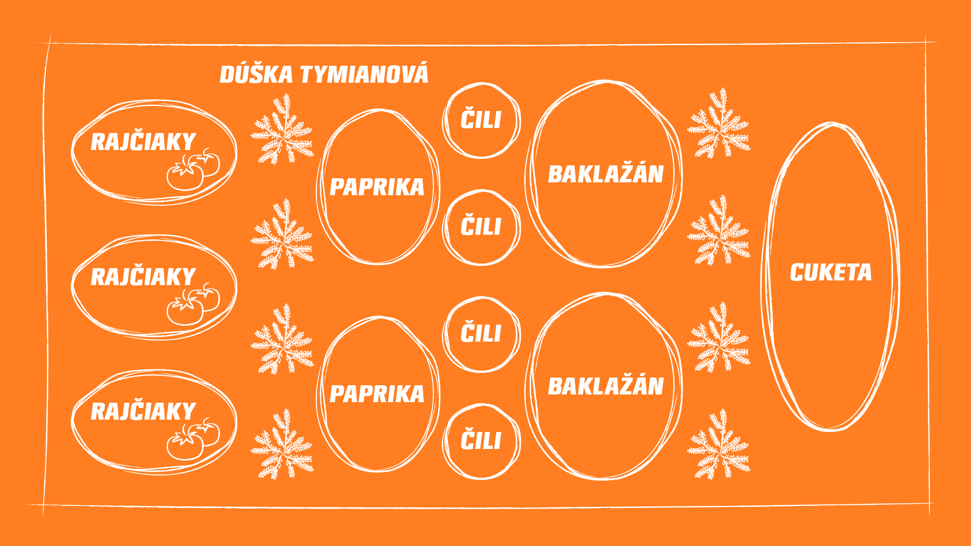 Prehľadná schéma spoločného pestovania paradajok, tymiánu, chilli, baklažánu, papriky a cukety