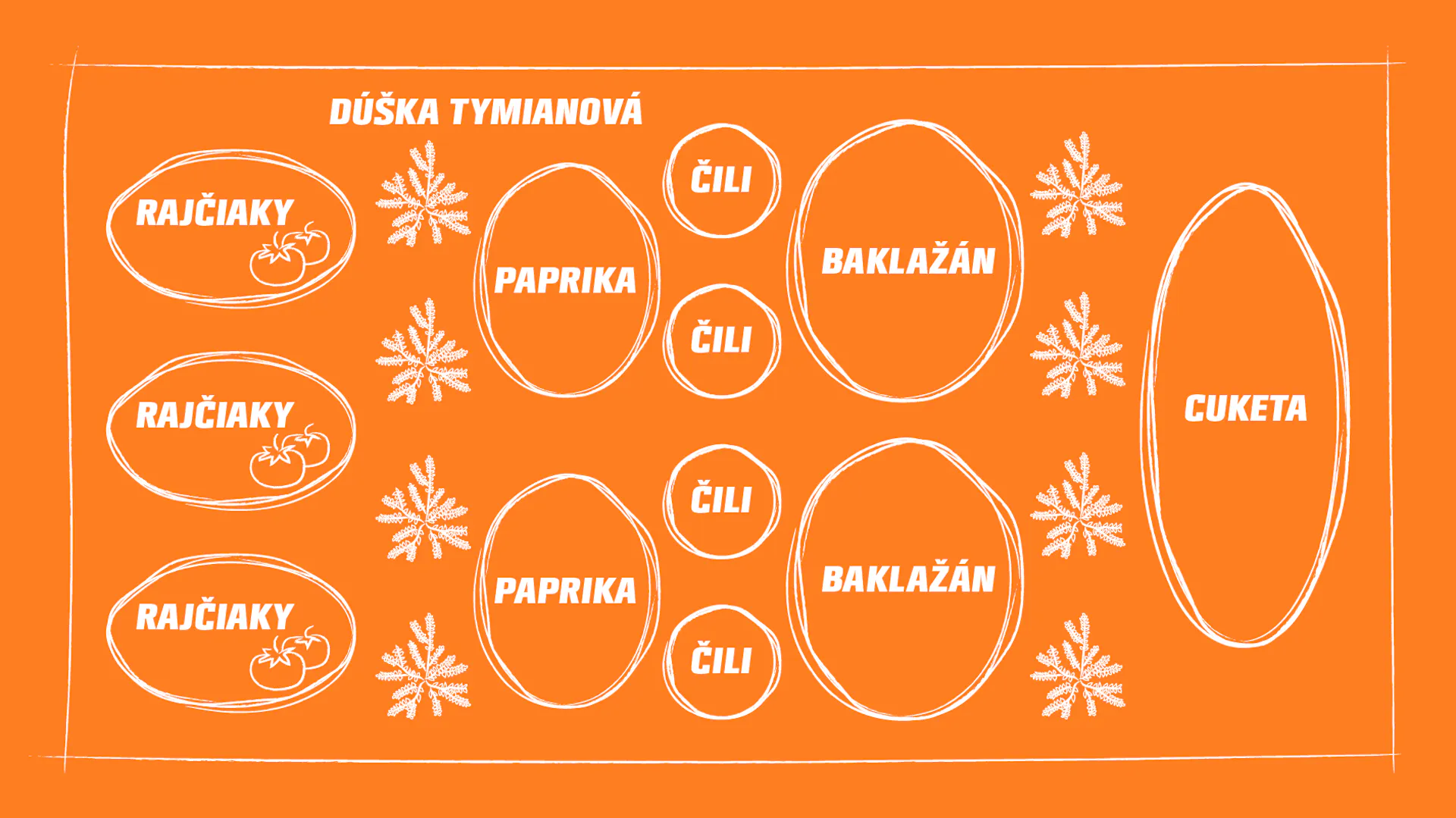 Prehľadná schéma spoločného pestovania paradajok, tymiánu, chilli, baklažánu, papriky a cukety