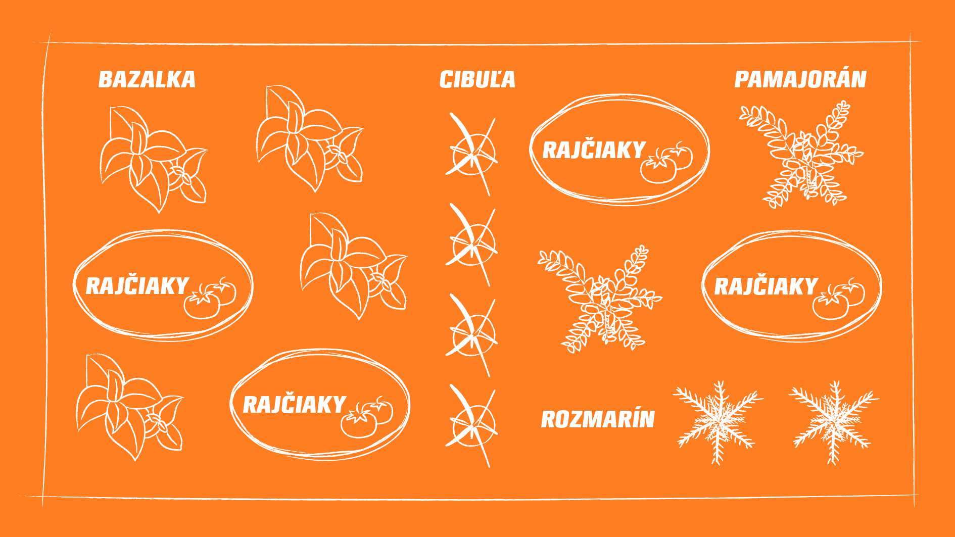 Prehľadná schéma spoločnej výsadby bazalky, rozmarínu, paradajok, oregana a cibule