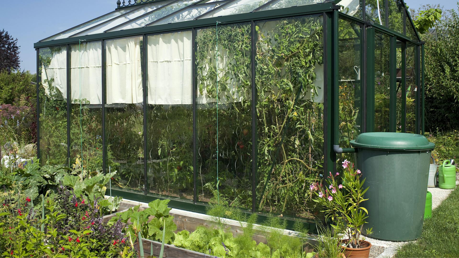 Veľký skleník so zeleným sudom na dážď.