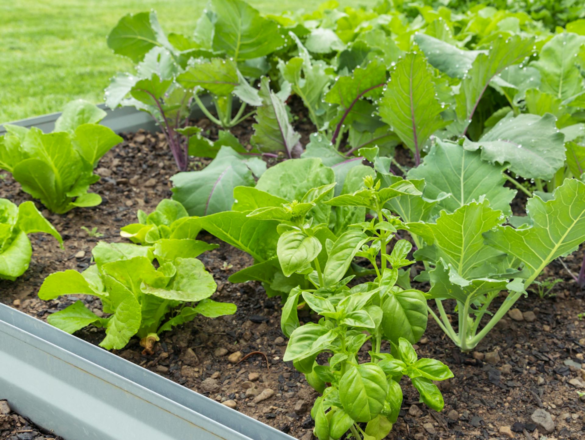 Ágyás műanyag szegéllyel.