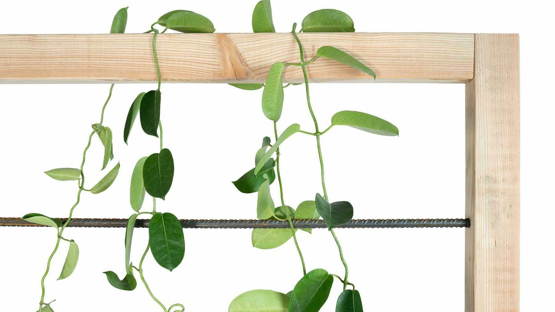 DIY Hochbeet Alfred mit Rankhilfe