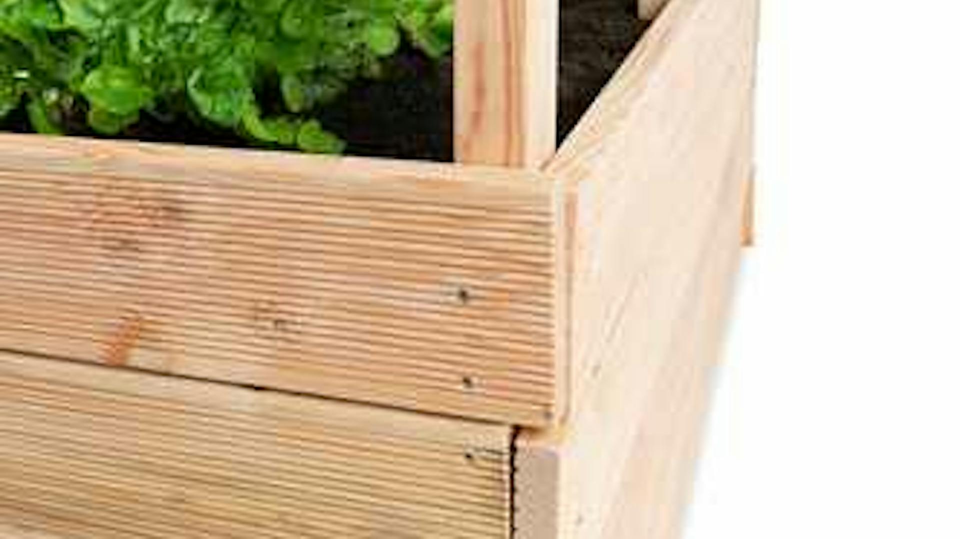 Hochbeet Alfred mit Rankhilfe