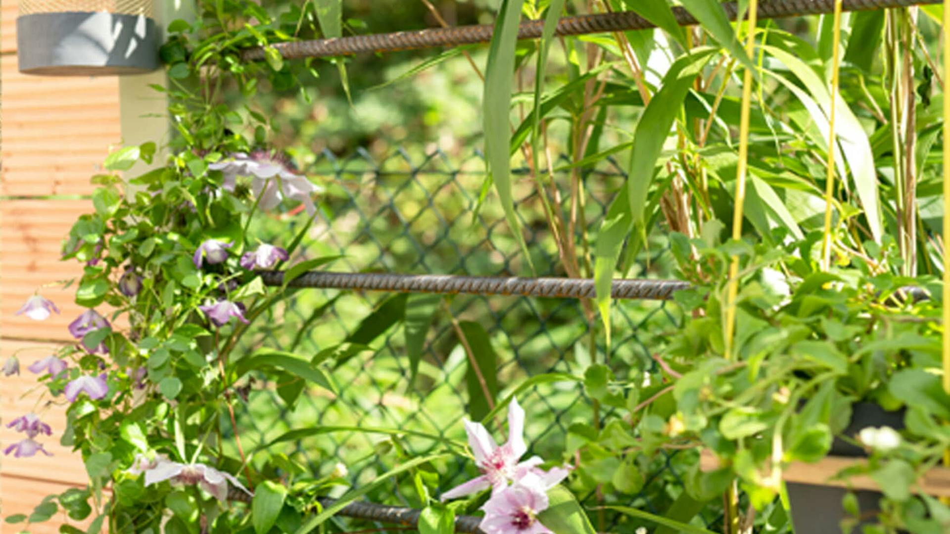 DIY Hochbeet Alfred mit Rankhilfe