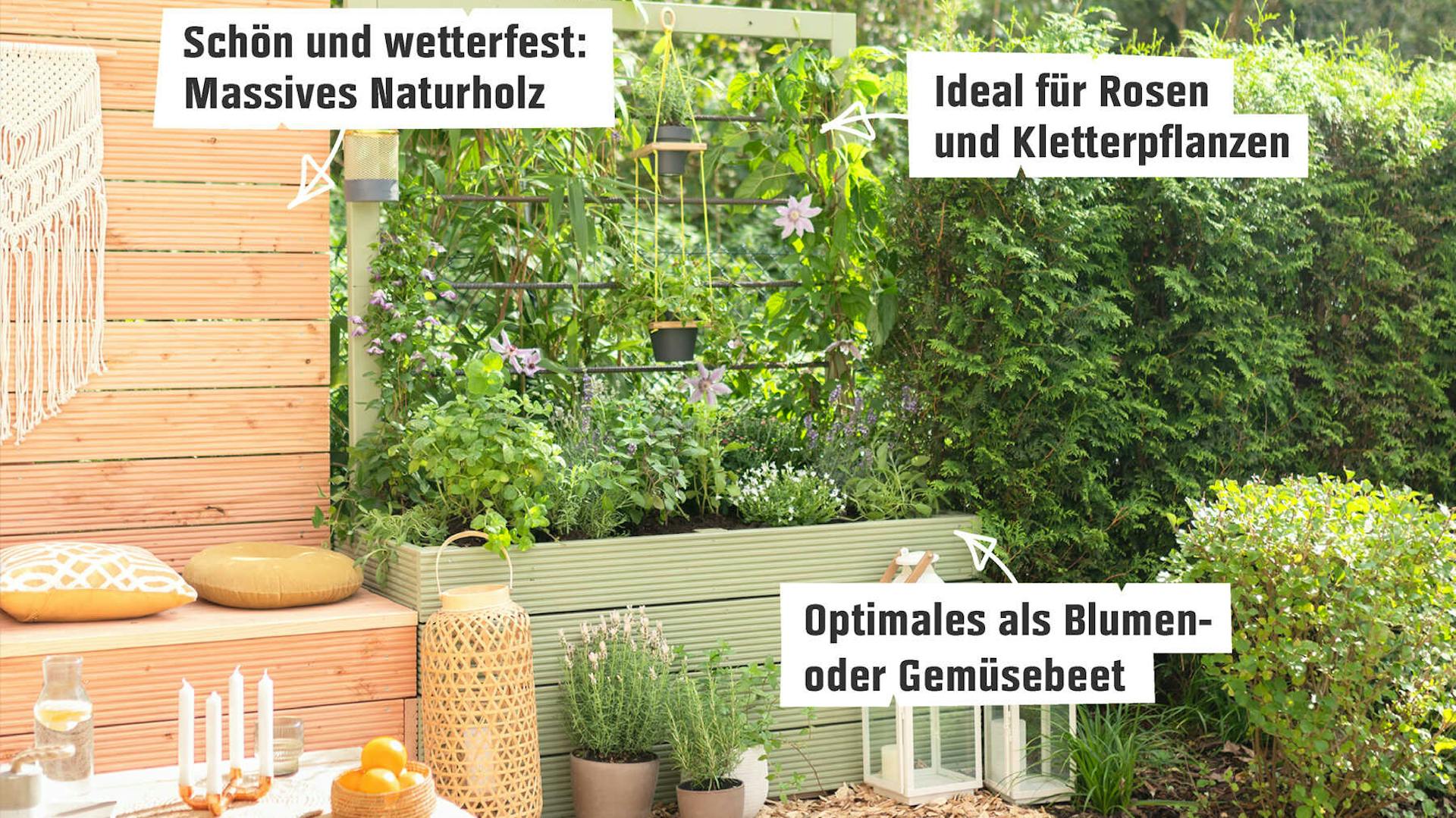 DIY Hochbeet Alfred mit Rankhilfe