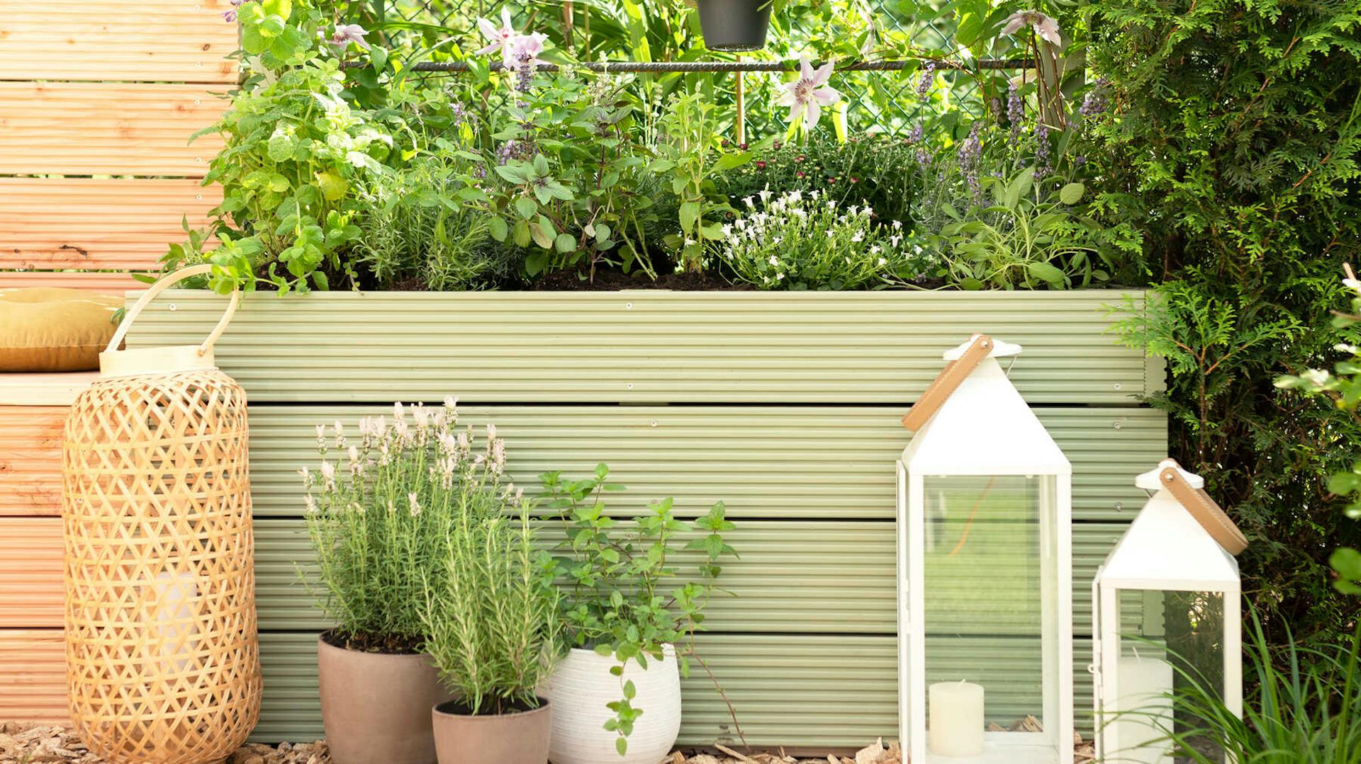 DIY Hochbeet Alfred mit Rankhilfe