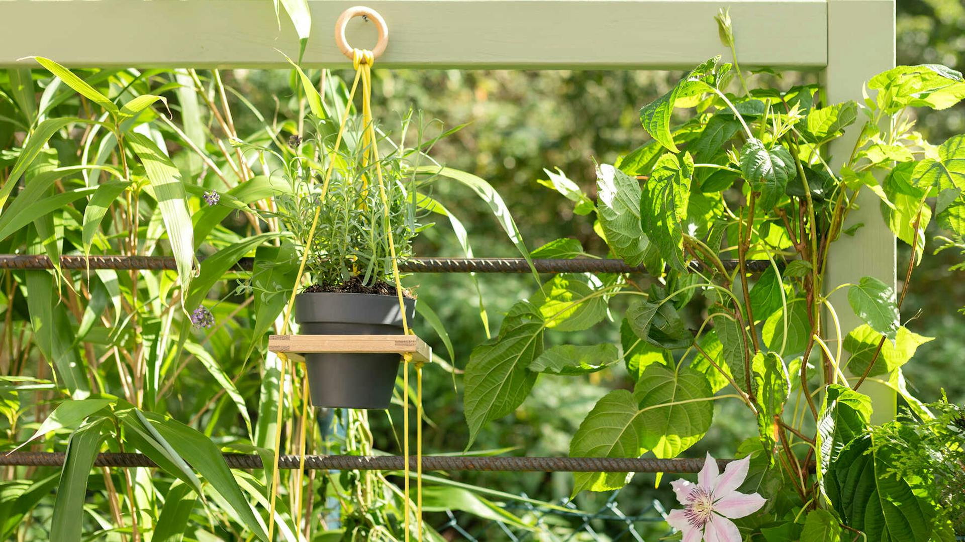 DIY Hochbeet Alfred mit Rankhilfe