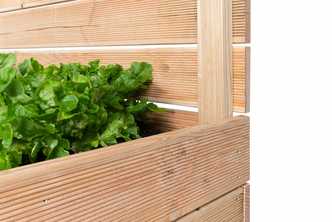 Ecke des Hochbeets mit Sichtschutz