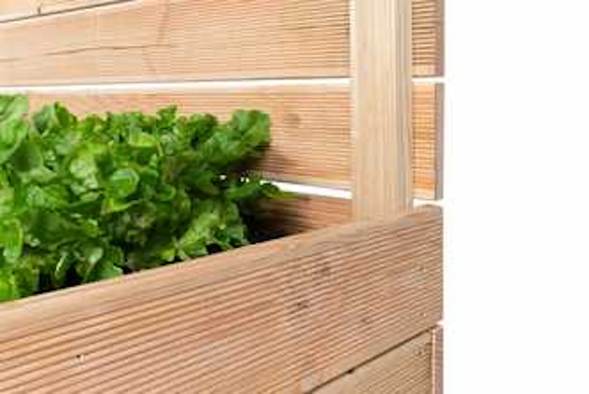 Ecke des Hochbeets mit Sichtschutz