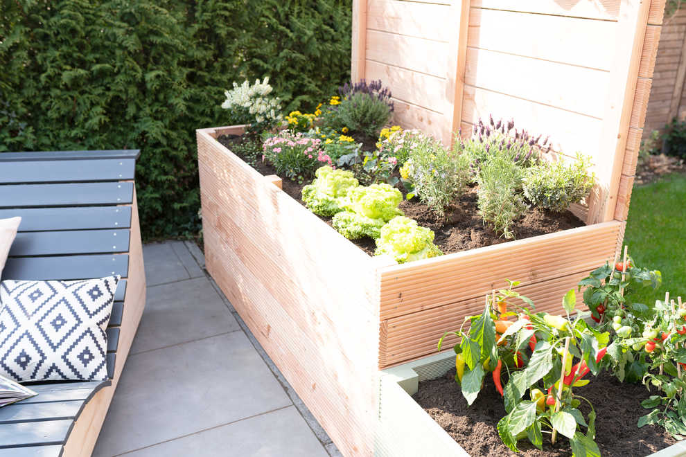 Hochbeet Alfred mit Sichtschutz Anleitung OBI