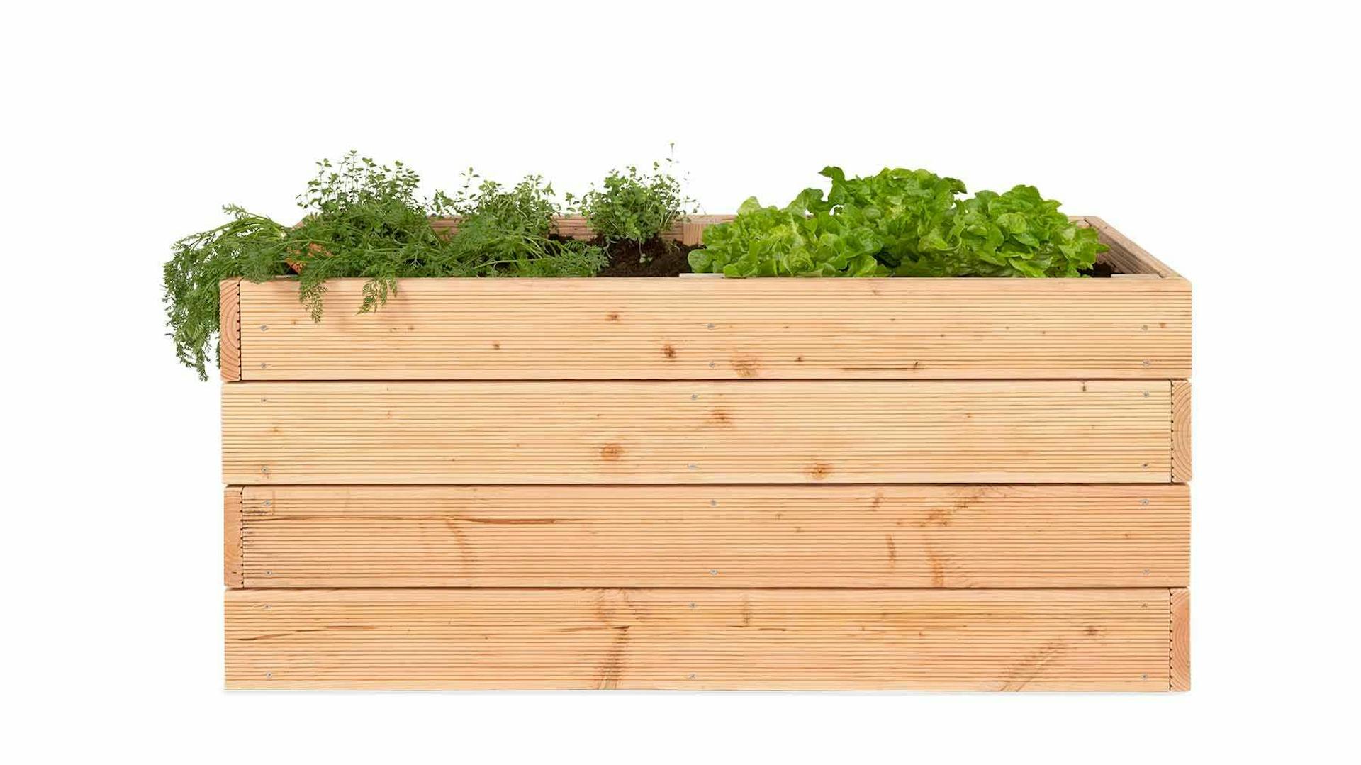 Frontansicht des aus Vollholz selbstgebauten Hochbeet Alfred.