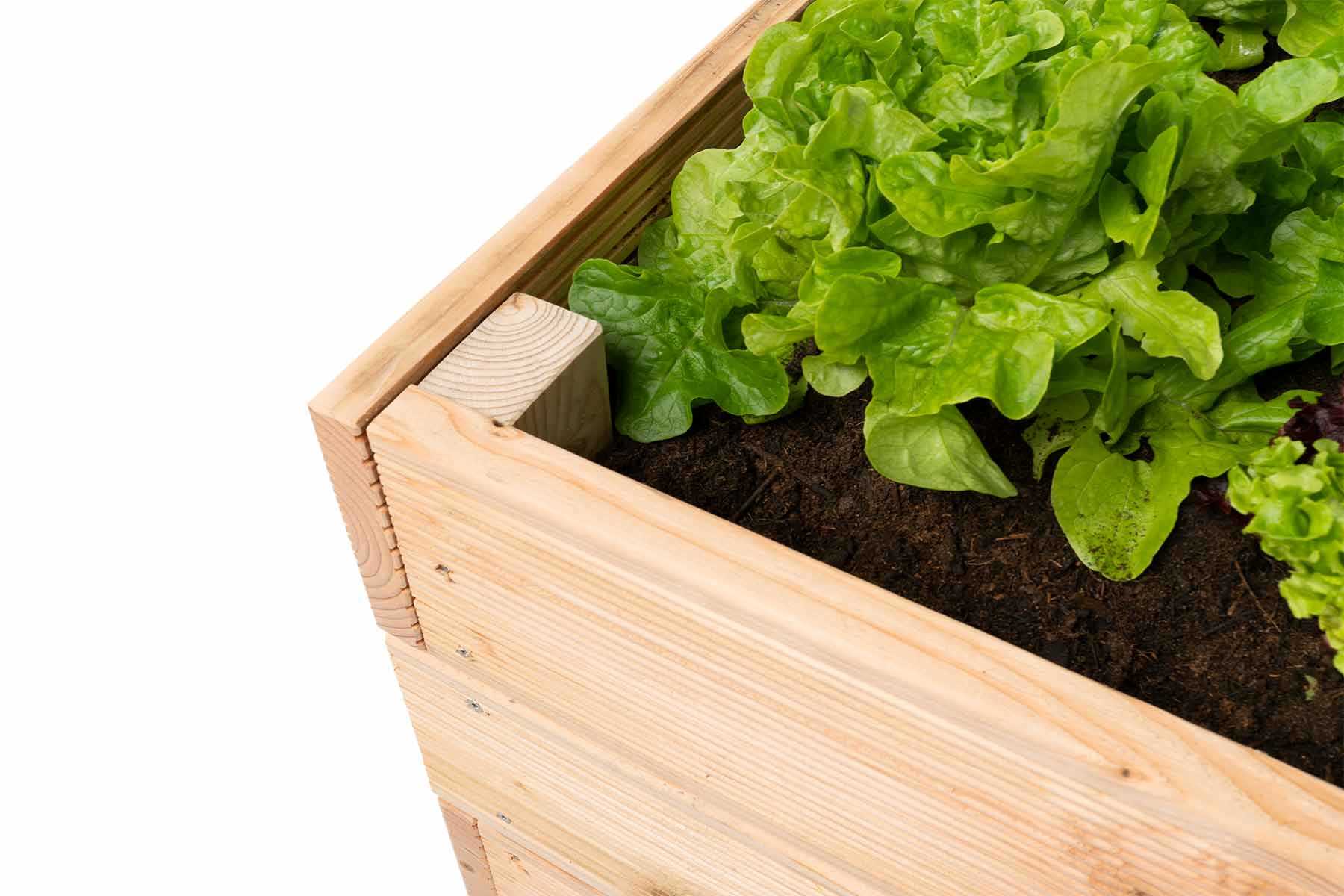 Detail des aus Vollholz selbstgebauten Hochbeet Alfred.