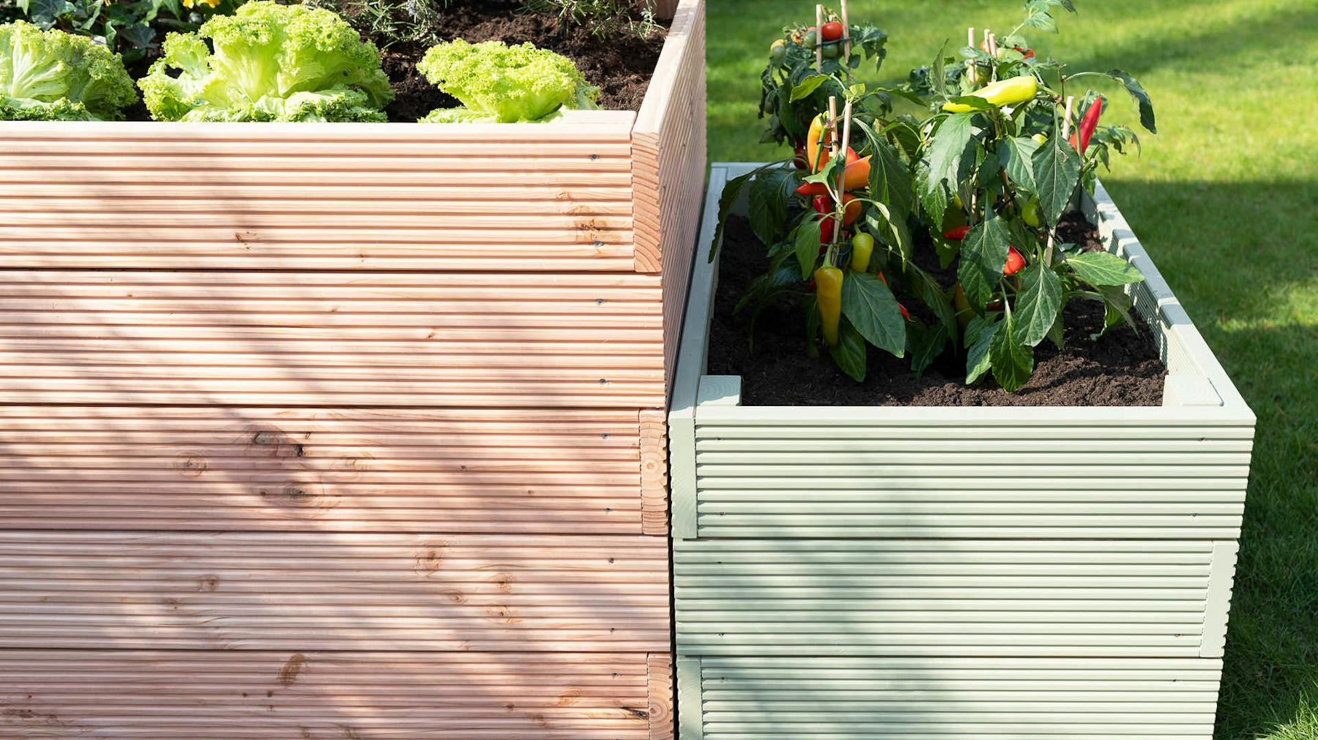 Frontansicht des aus Vollholz selbstgebauten Hochbeet Alfred in grün mit optionalem Sichtschutz