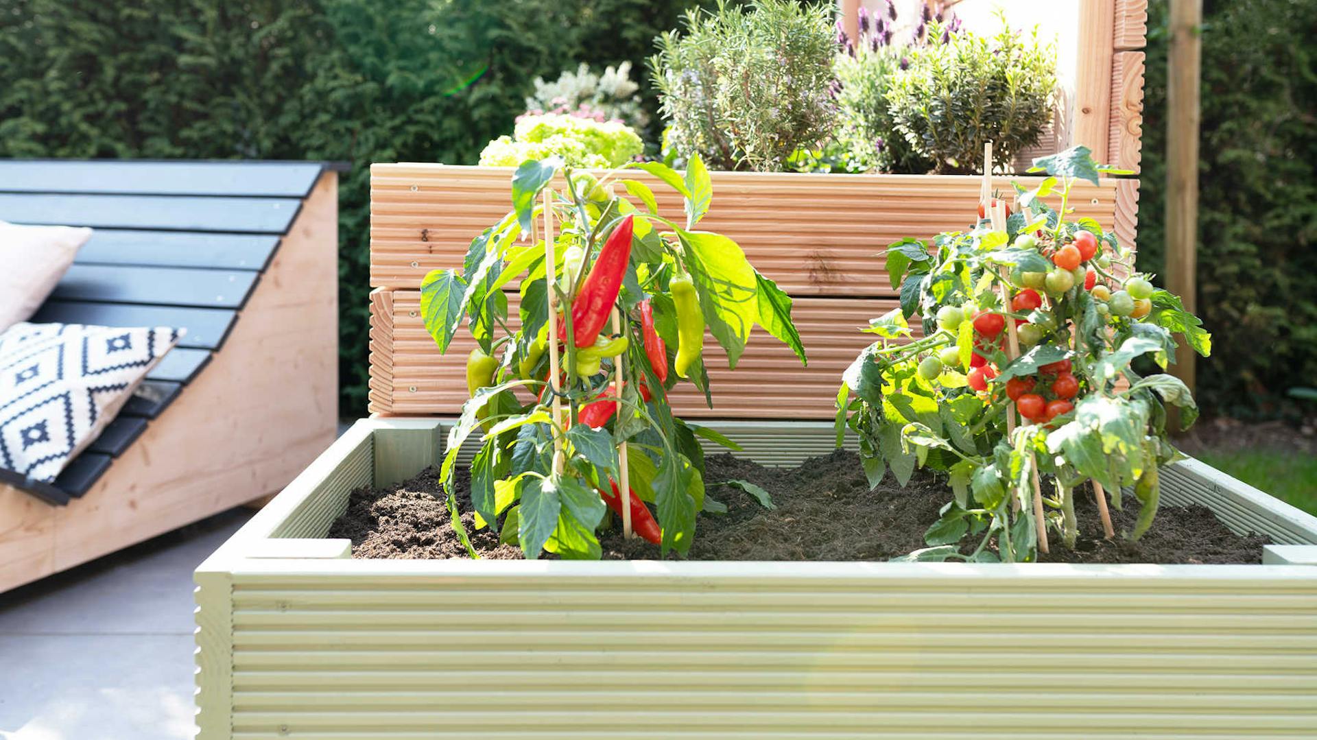 Frontansicht des aus Vollholz selbstgebauten Hochbeet Alfred in grün mit optionalem Sichtschutz