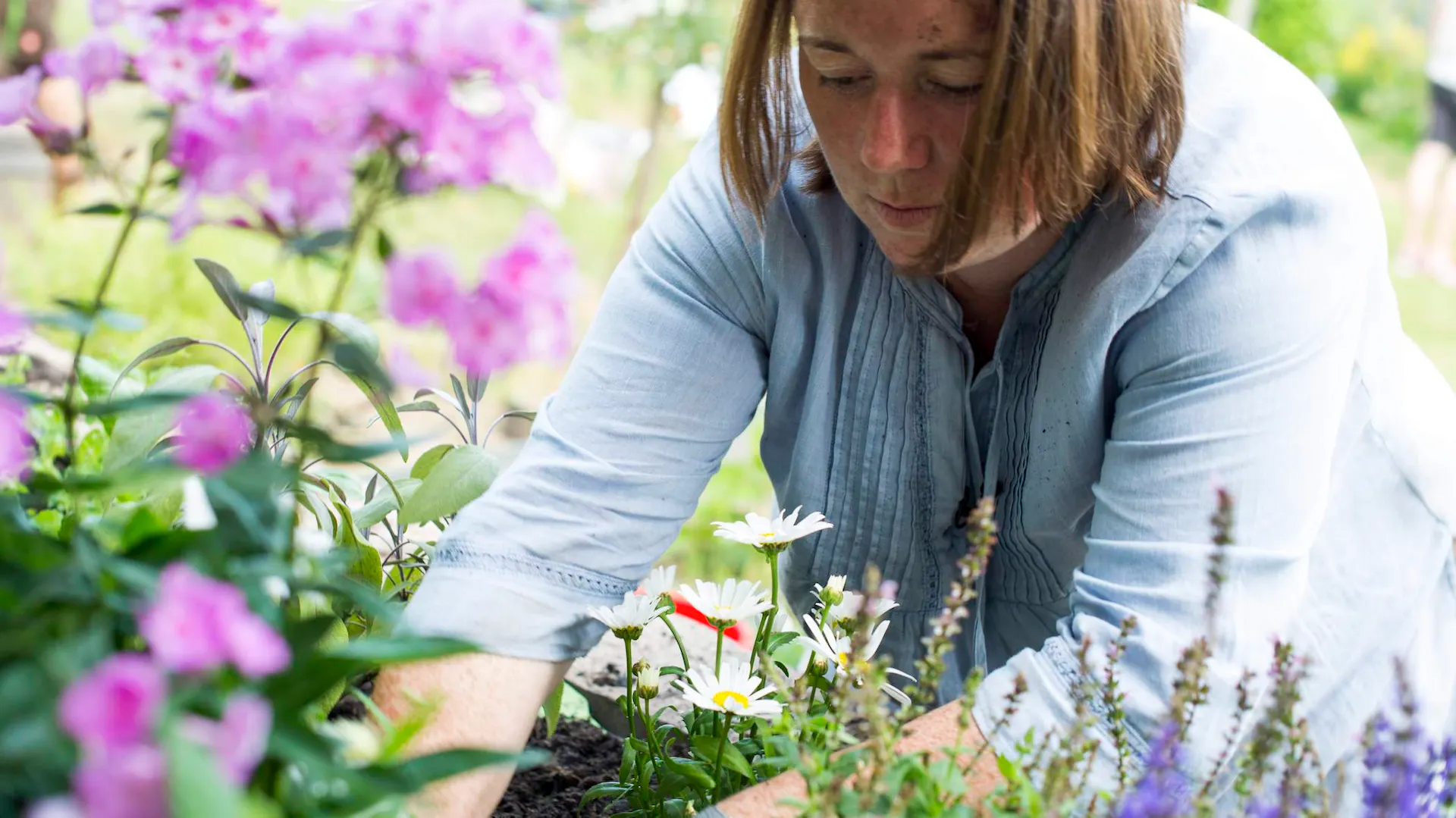 Frau pflanzt Blumen in Erde