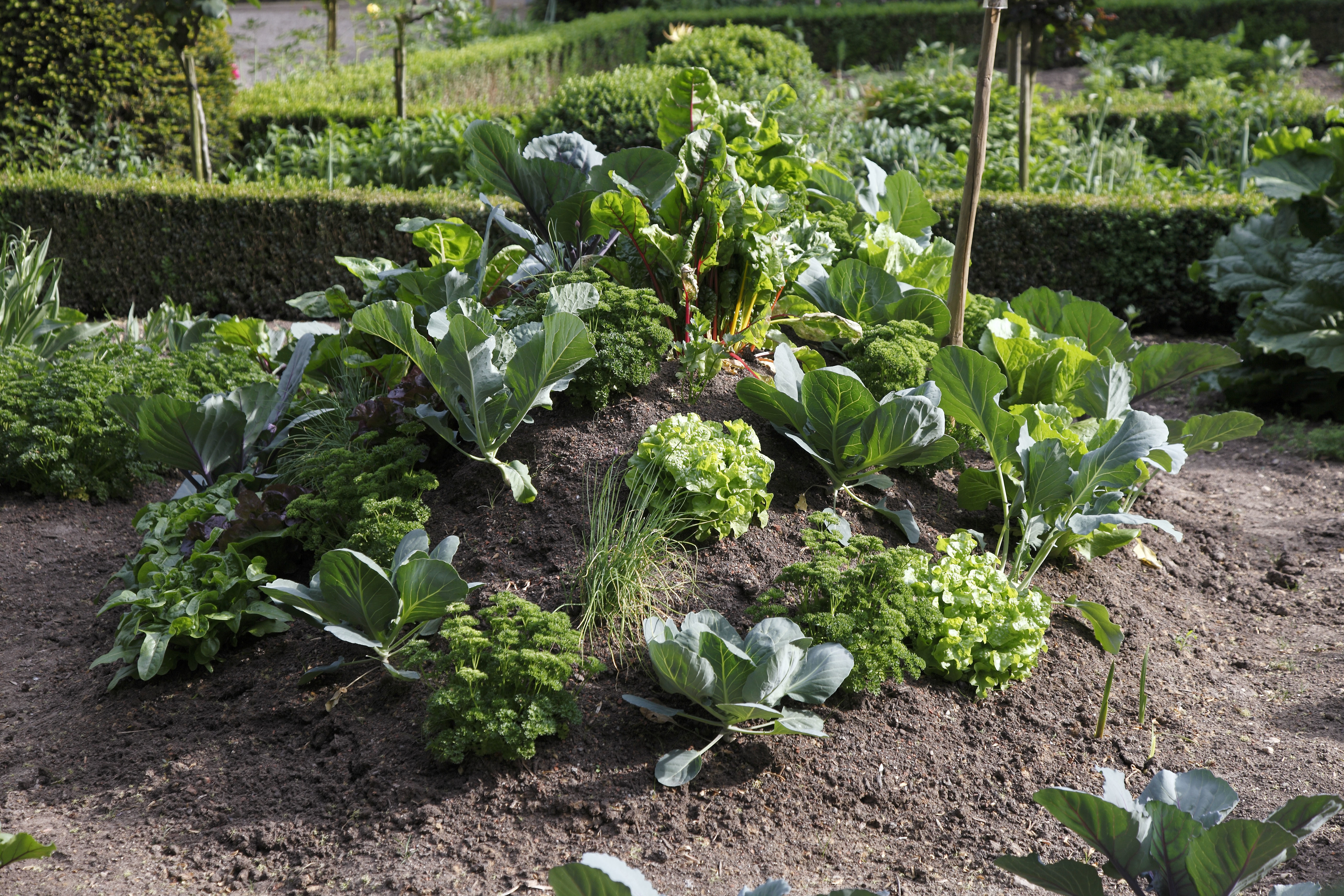 Randsteine setzen Anleitung und Werkzeugliste OBI
