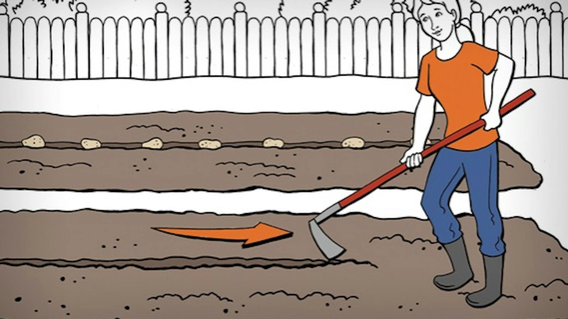 Gärtnerin zieht mit Hacke Furchen in den Boden, um Kartoffeln einzusetzen.