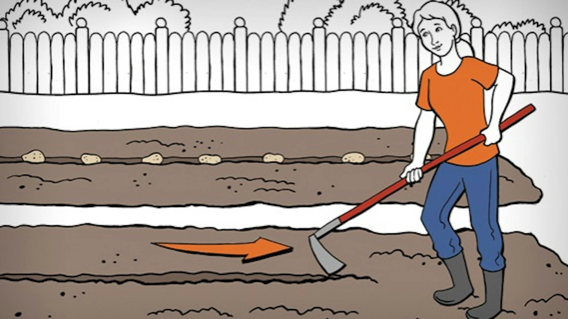 Gärtnerin zieht mit Hacke Furchen in den Boden, um Kartoffeln einzusetzen.