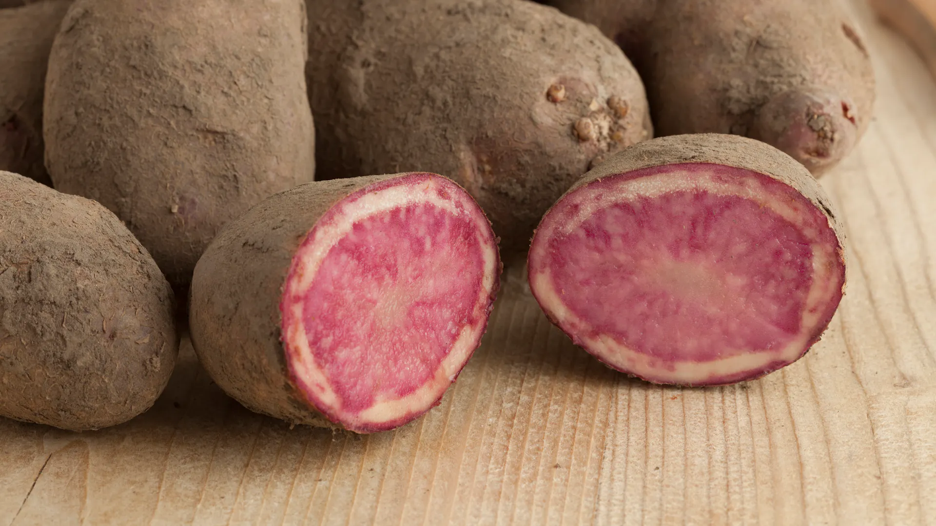 Kartoffeln der Sorte „Highland Burgundy Red“