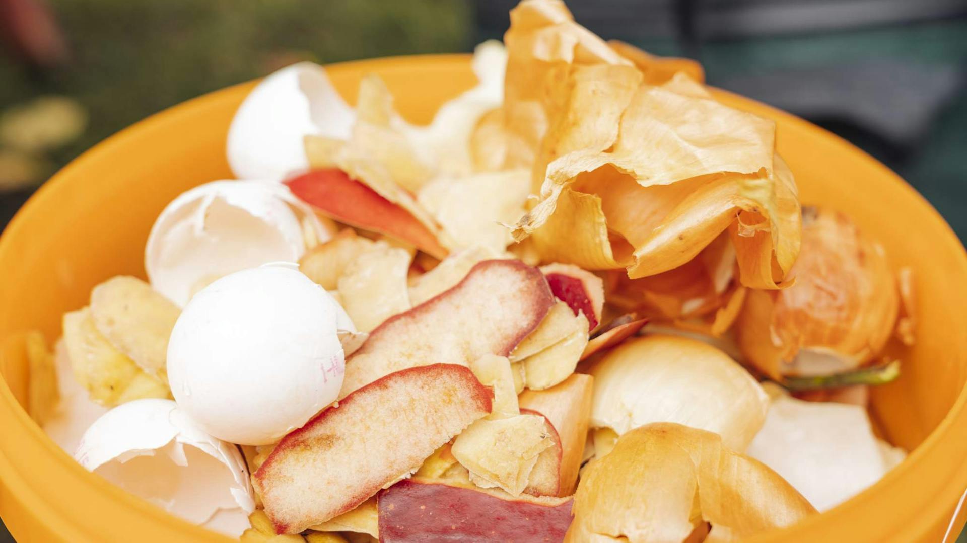 Konyhai hulladék egy vödörben