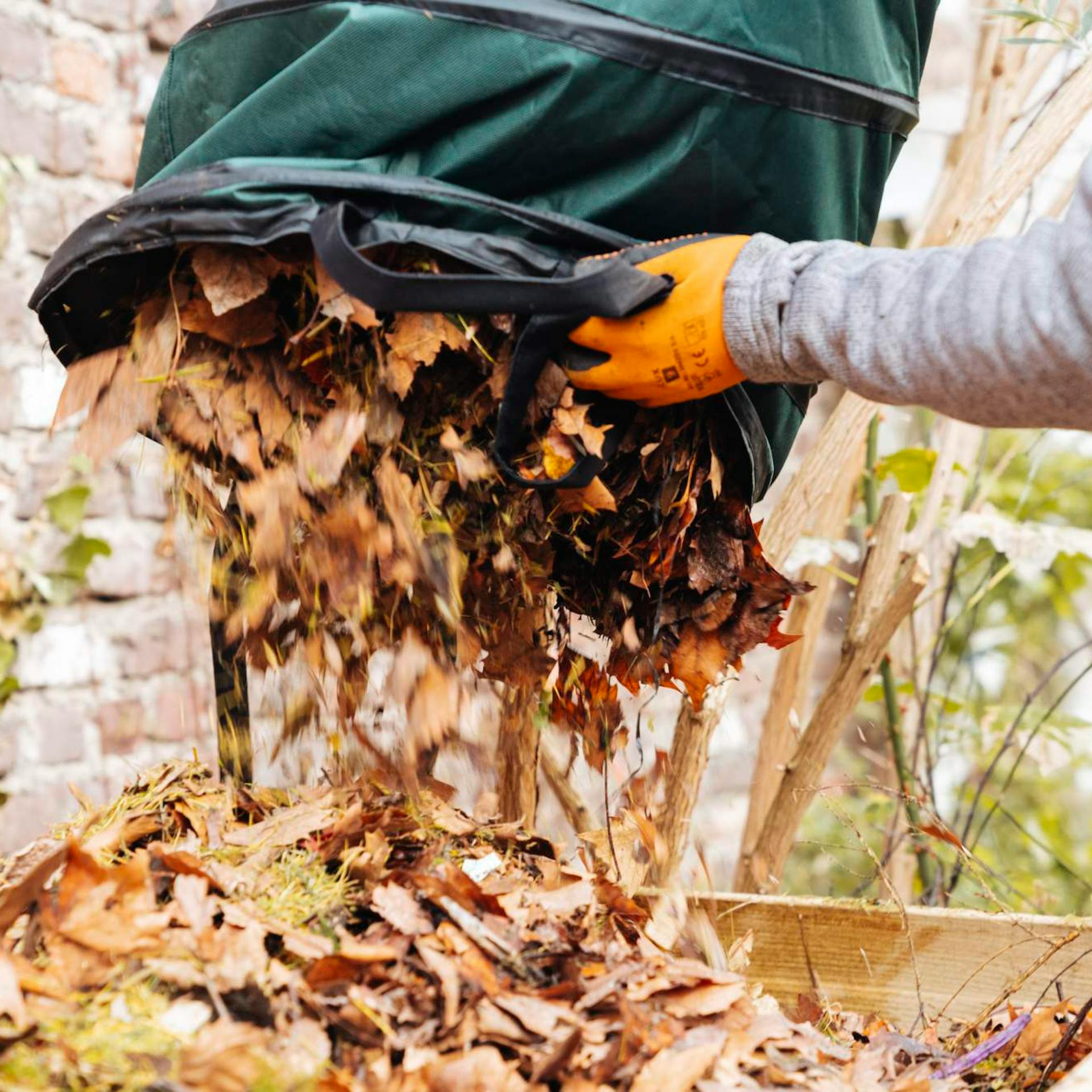Egy halom levelet dobnak a komposztálóba.