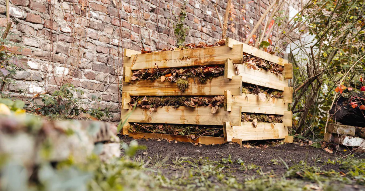 Beets Compost Compost domestico - Guida e consigli su come prepararlo | OBI