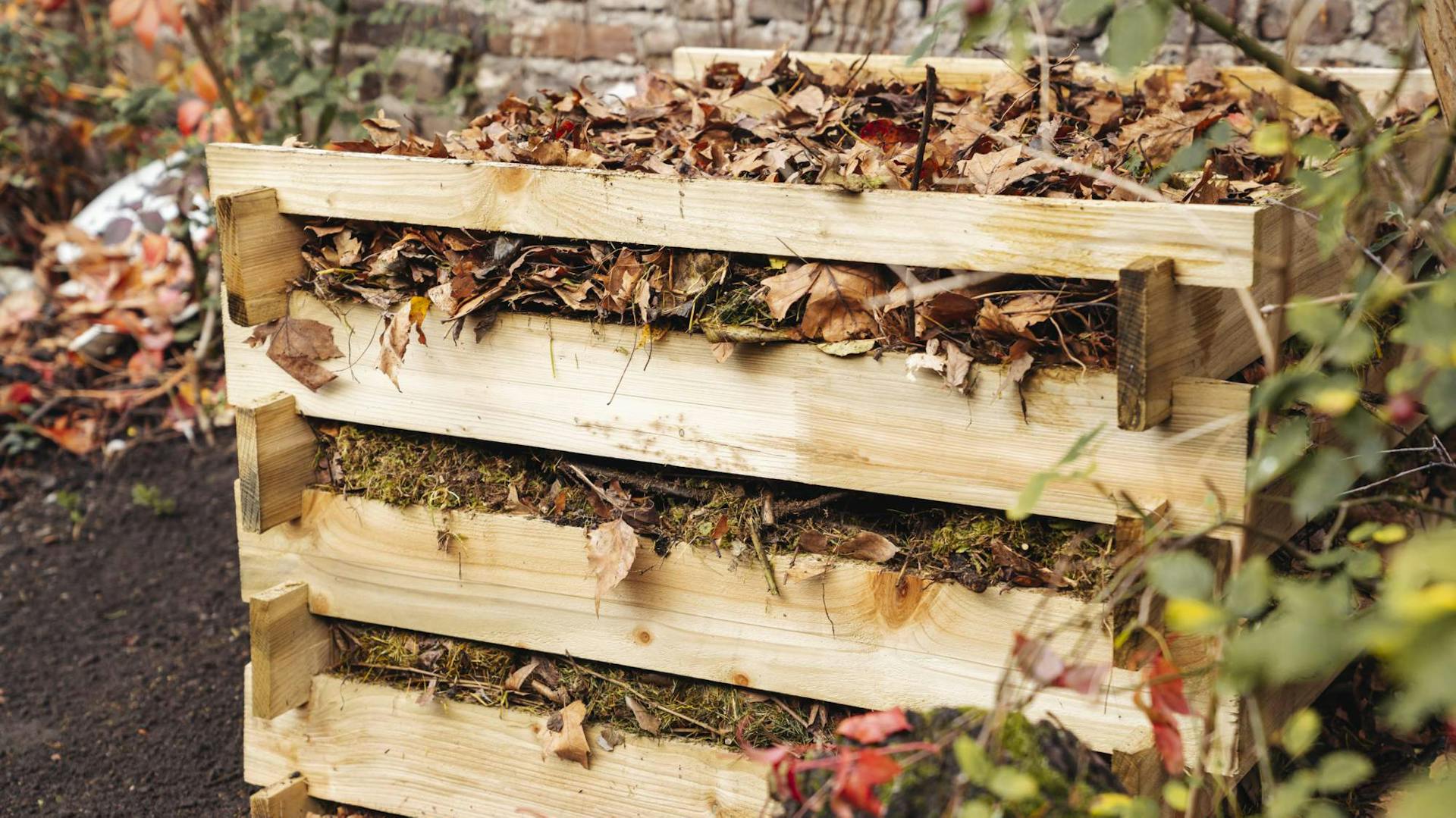 Kompost mit Herbstlaub in naturnahem Garten