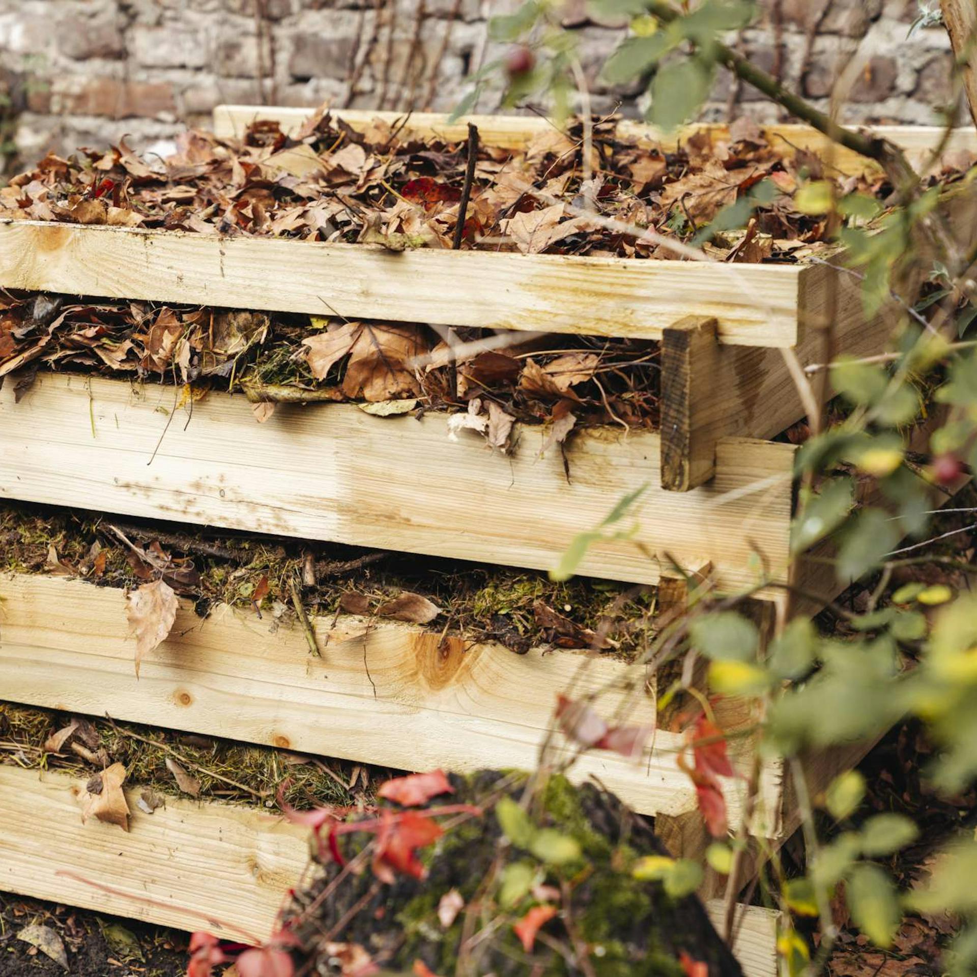 Compost domestico - Guida e consigli su come prepararlo | OBI