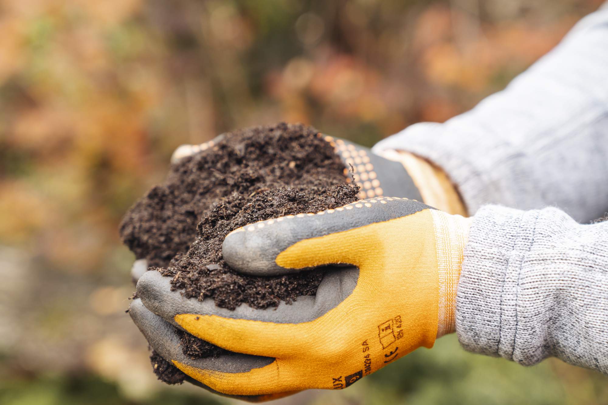 Hände mit Gartenhandschuhen halten frische Erde.