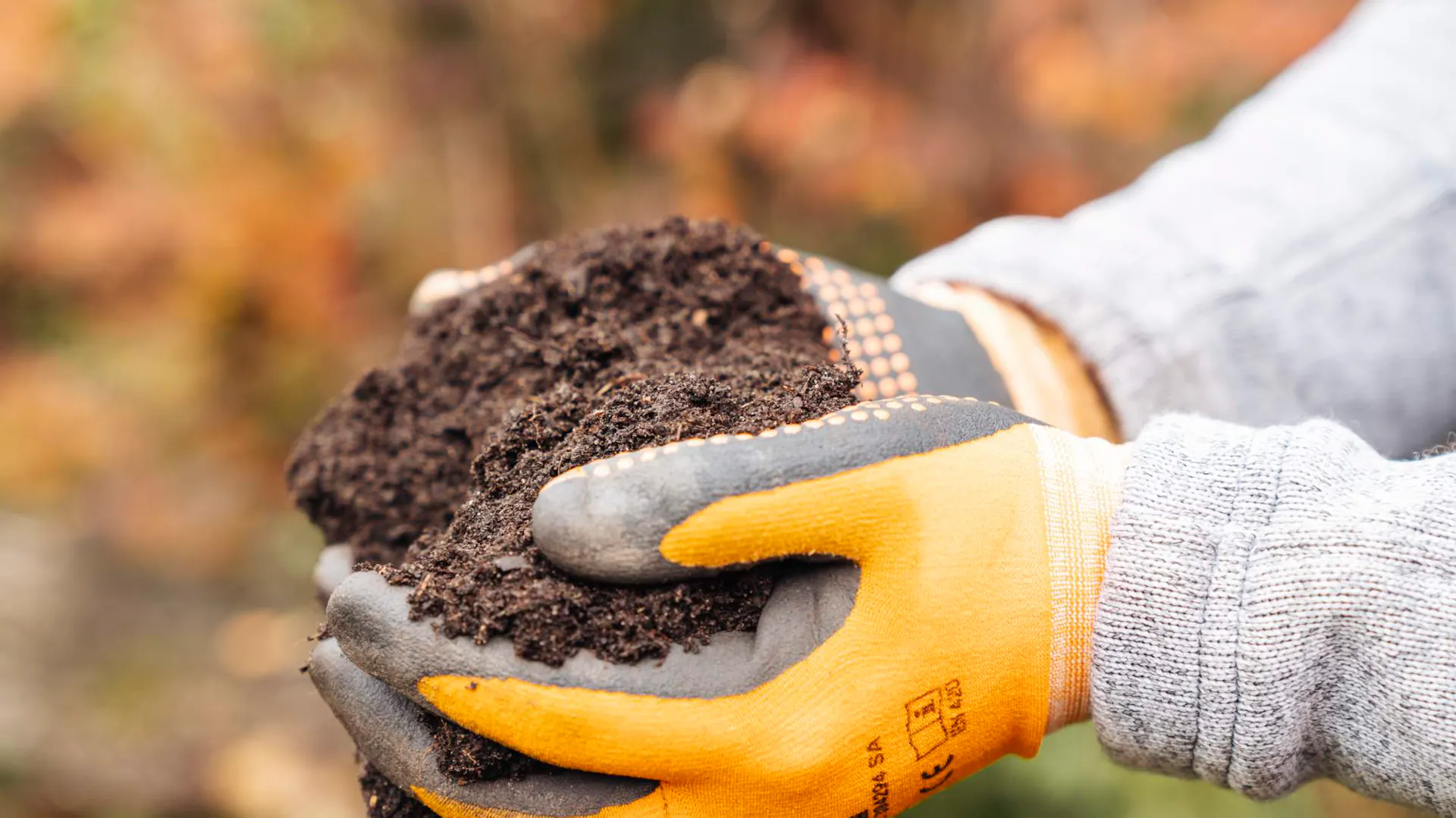Hände mit Gartenhandschuhen halten frische Erde.