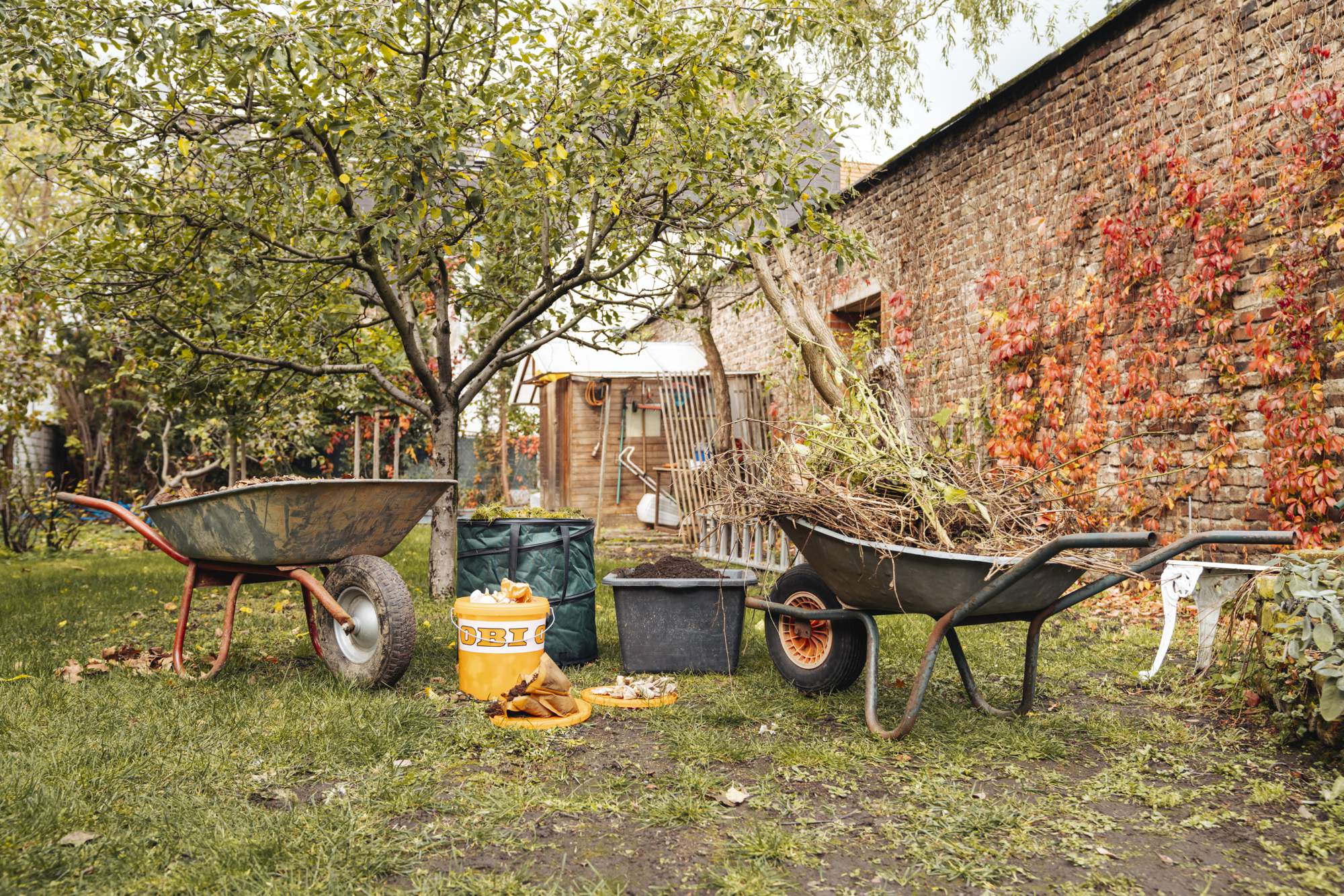 Sacco di foglie, secchio con terriccio e carriola con rami in giardino