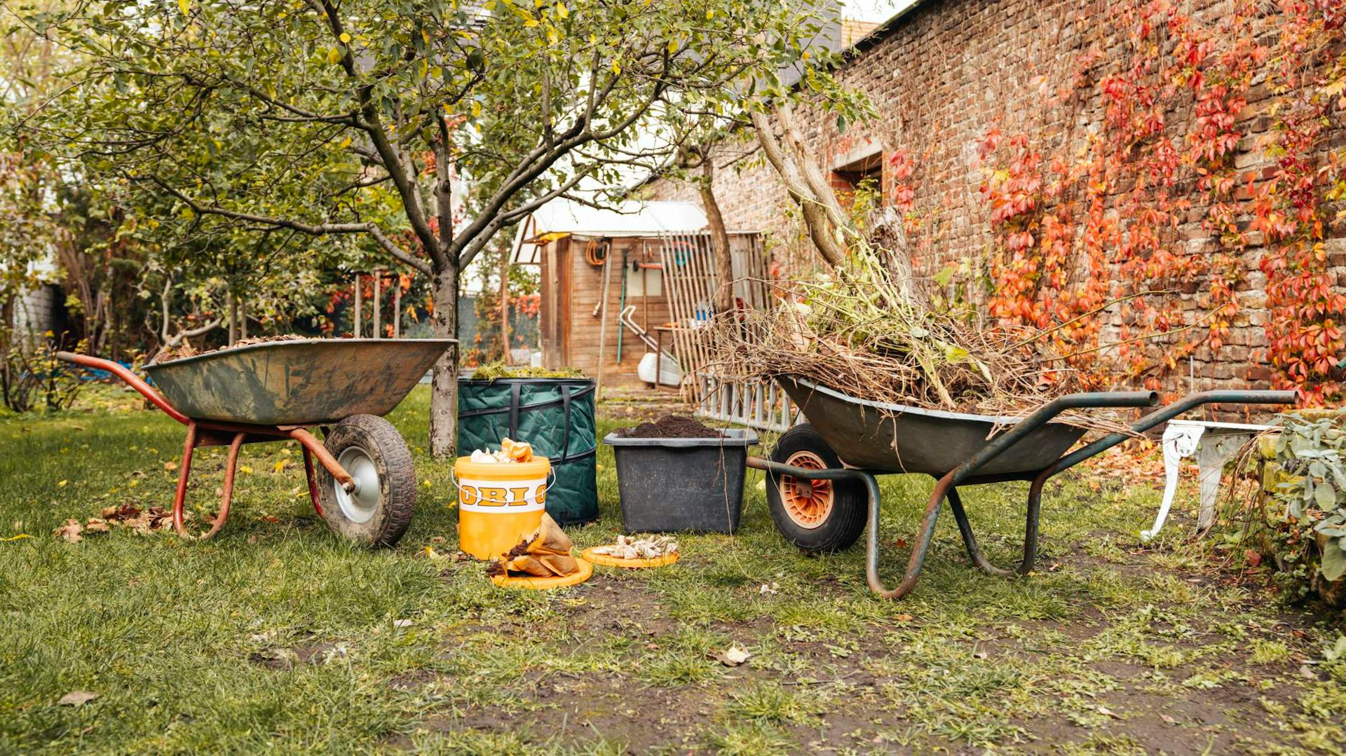 Sacco di foglie, secchio con terriccio e carriola con rami in giardino