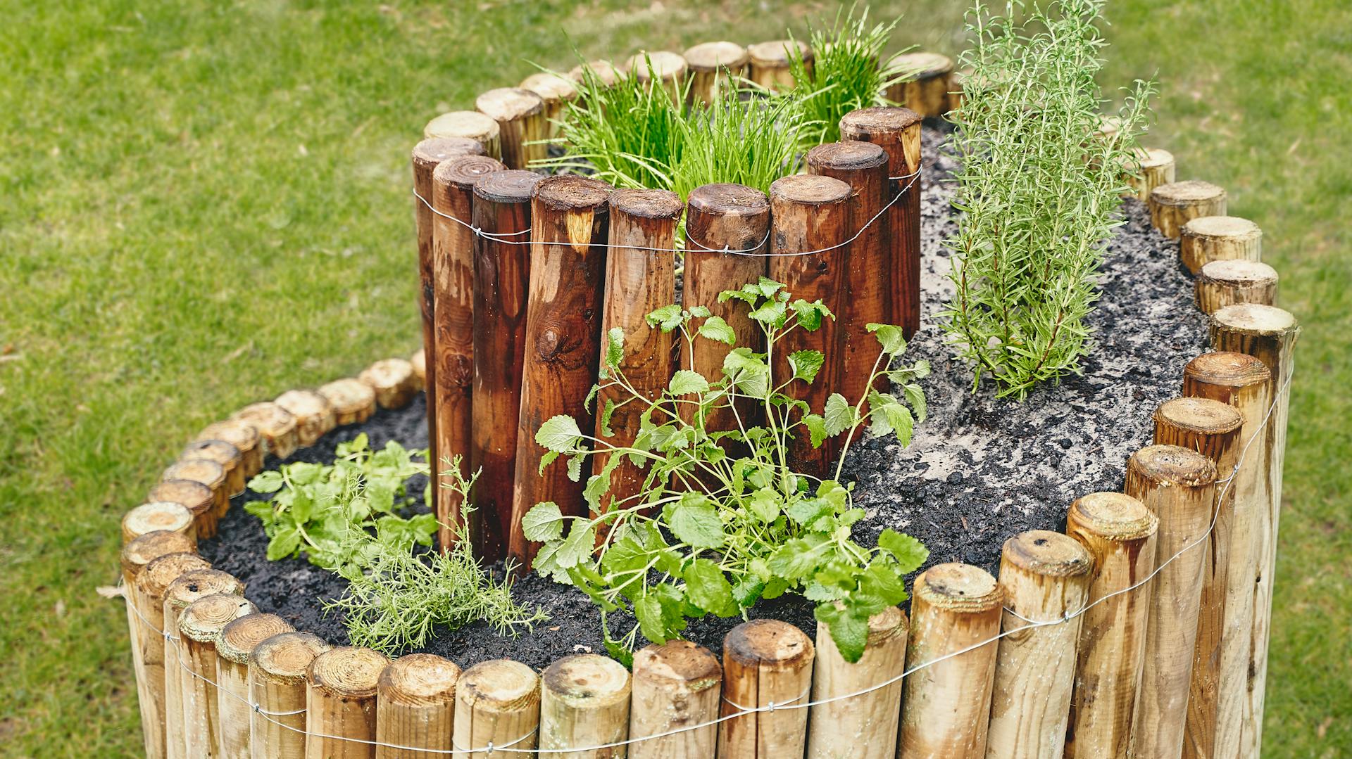 Kräuterschnecke aus Holz mit verschiedenen Kräutern