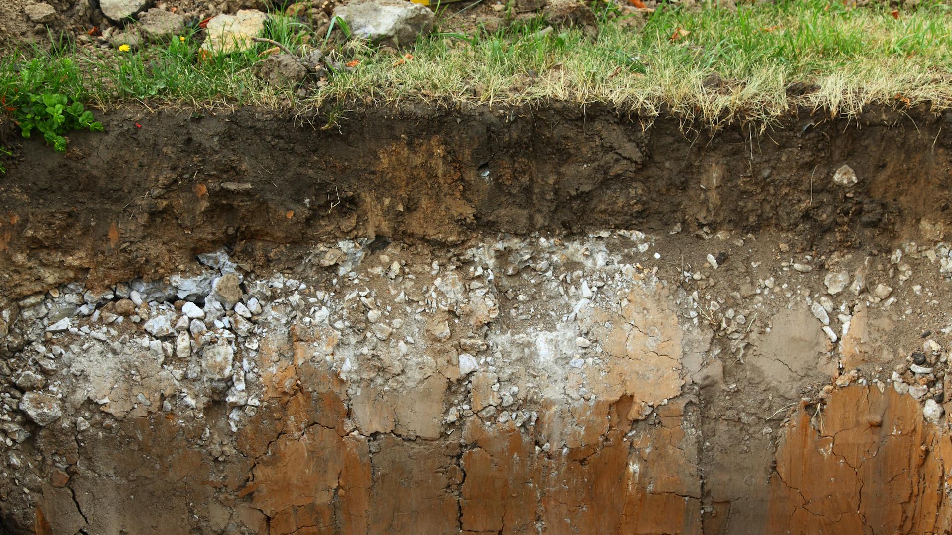 Querschnitt eines Bodens mit verschiedenen Bodenschichten und Mutterboden
