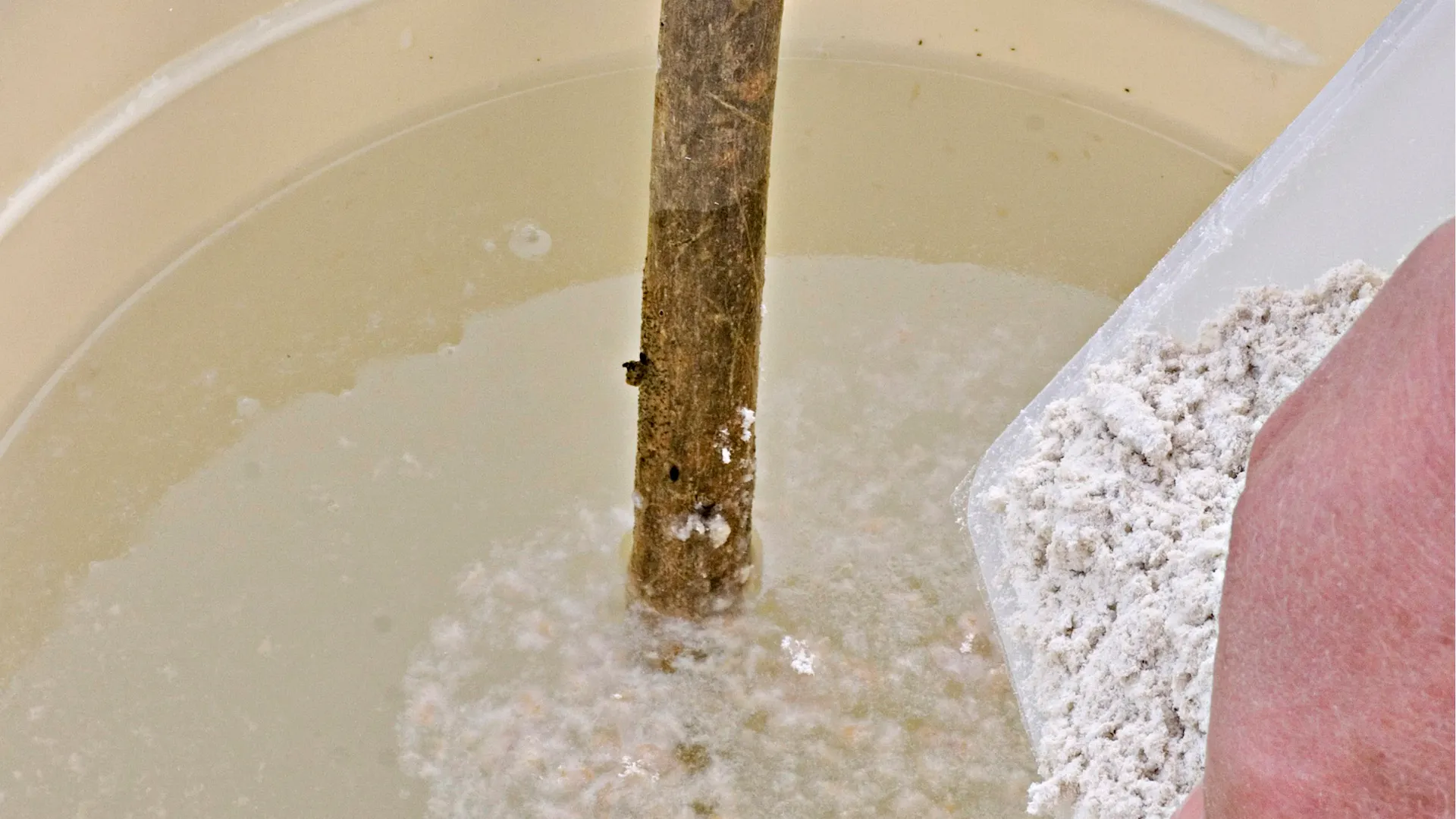 Tongranulat mit Nematoden wird mit Wasser vermengt.