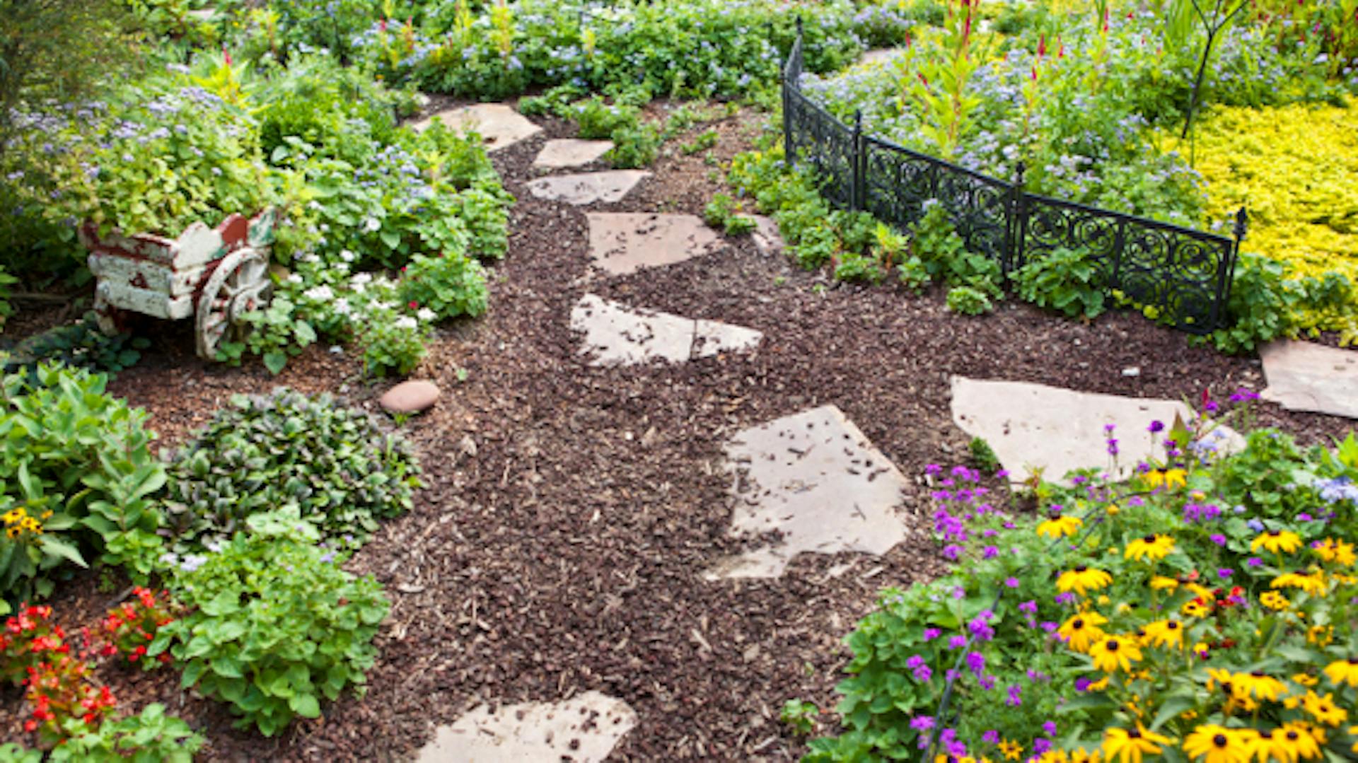 A sokszögű lapok egy mulcsozott úton ágyások között