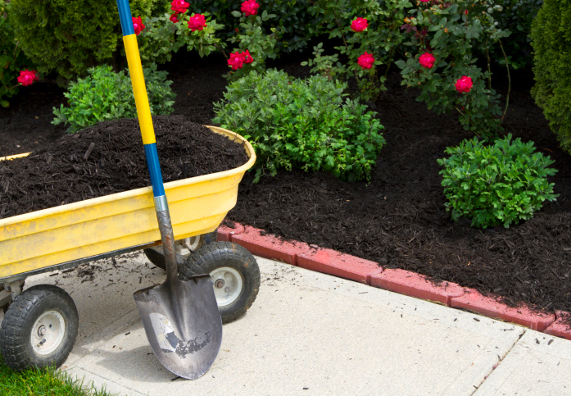 Talicska egy mulcsozott és növényekkel beültetett ágyás előtt