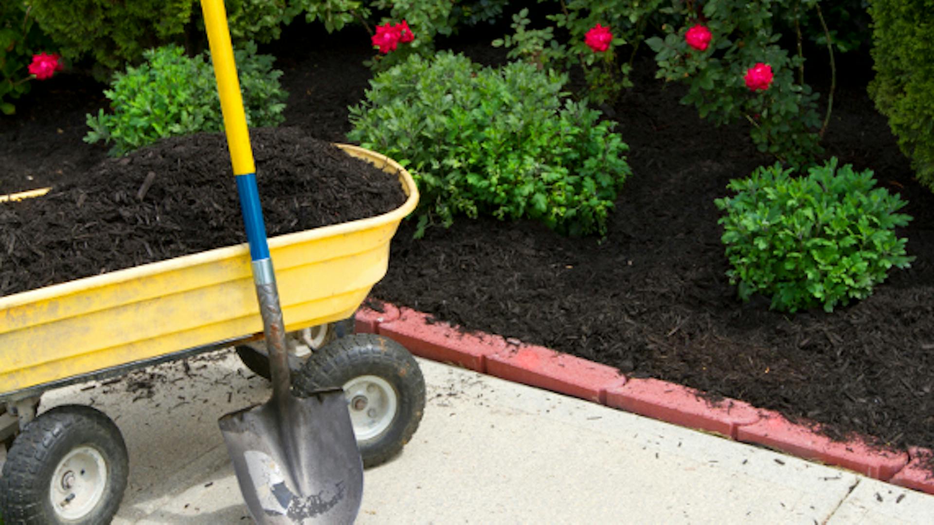 Talicska egy mulcsozott és növényekkel beültetett ágyás előtt