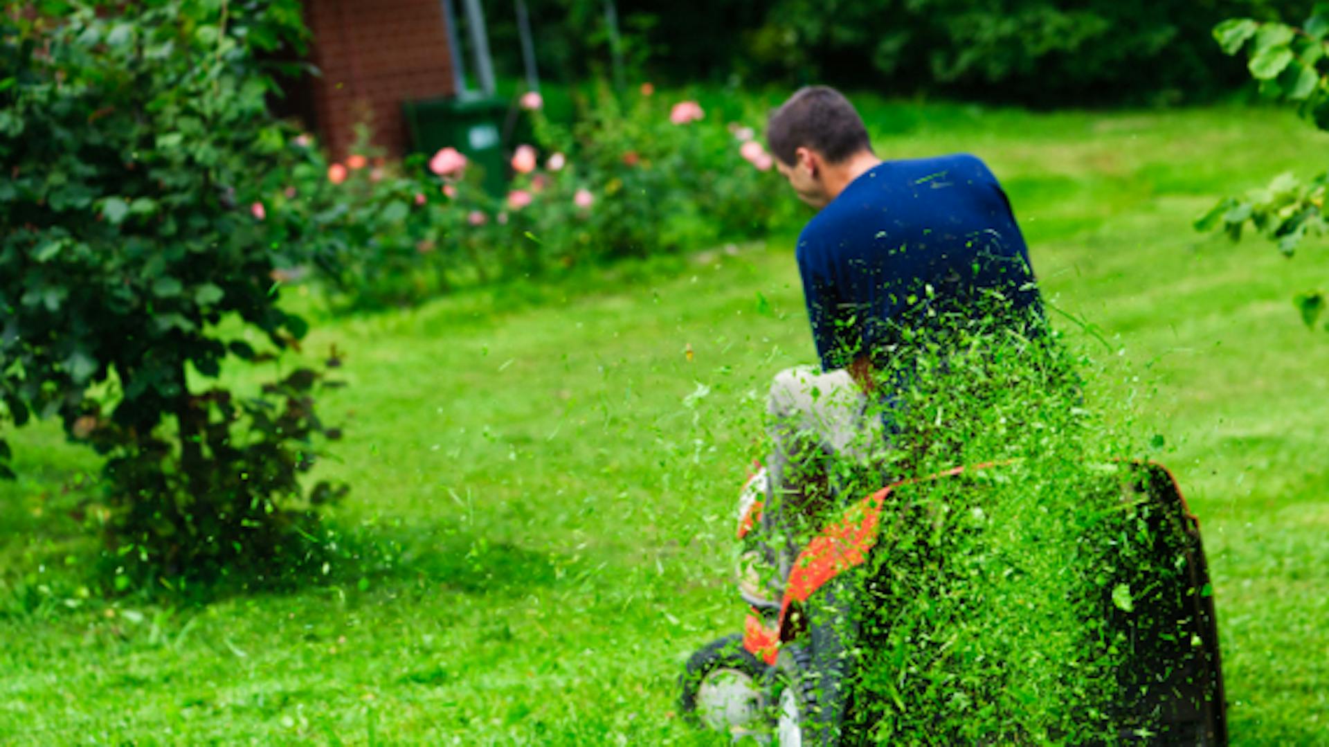 Egy hobbikertész fűnyíró traktorral nyírja a füvet