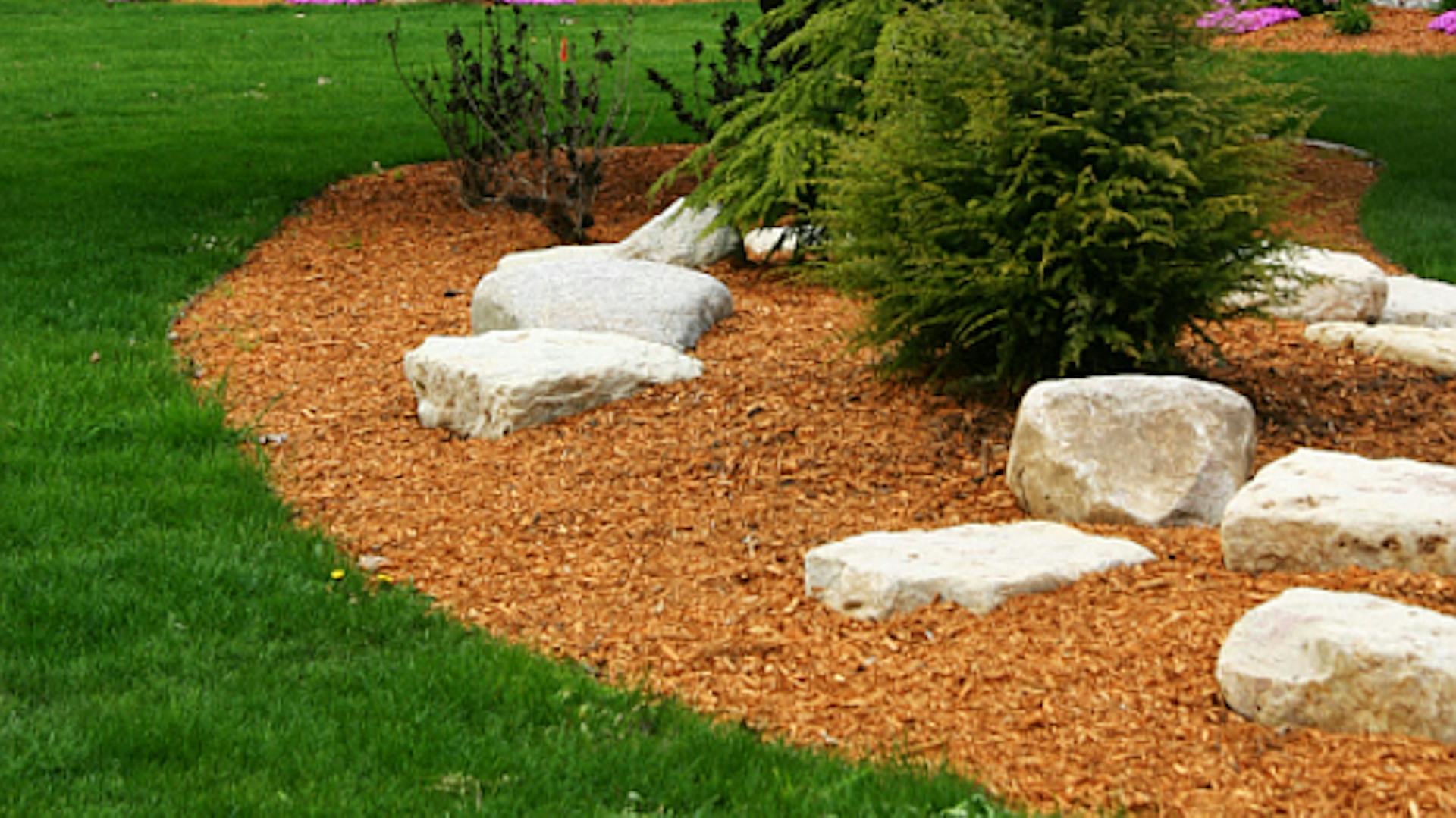Fehér kövek hevernek egy dekormulccsal borított és bokrokkal beültetett területen