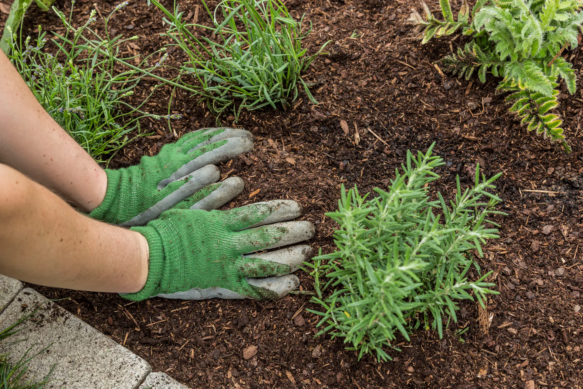 Eine Person bedeckt ein Beet mit Rindenmulch.