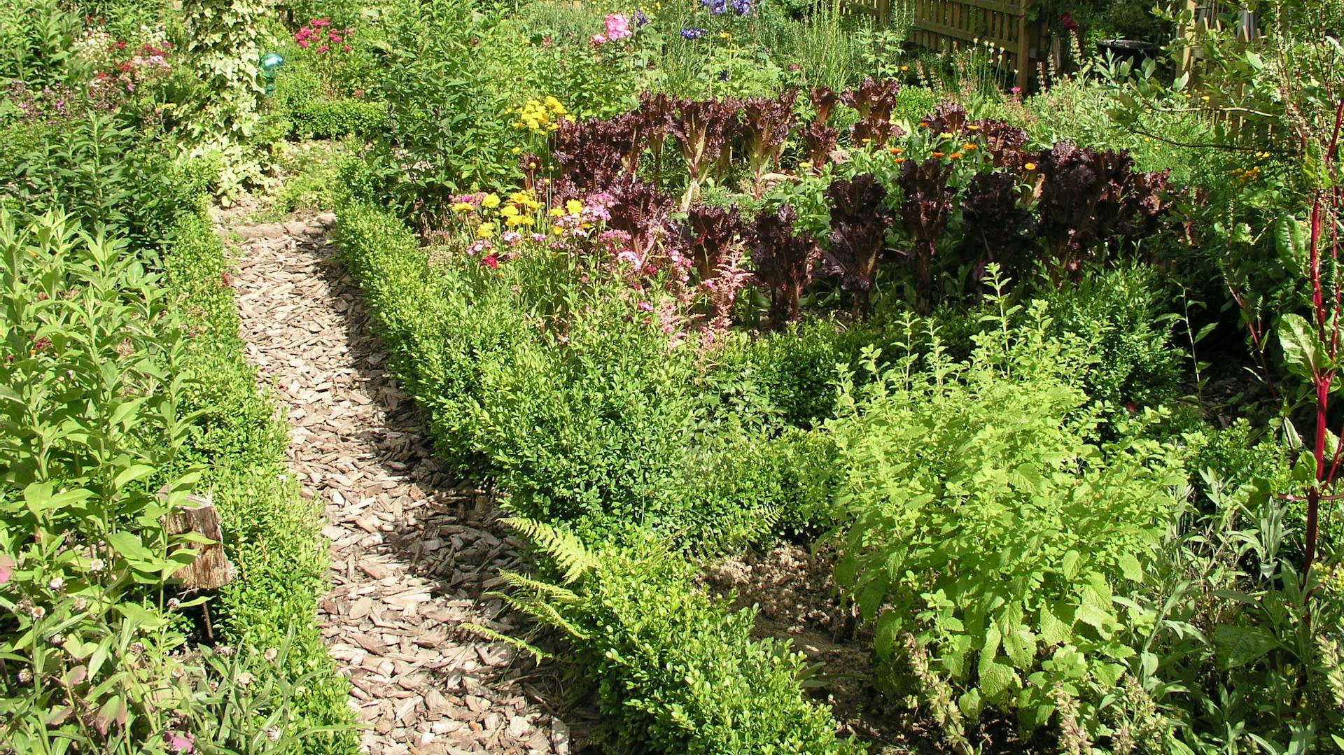 Gemüsegarten mit Gehweg