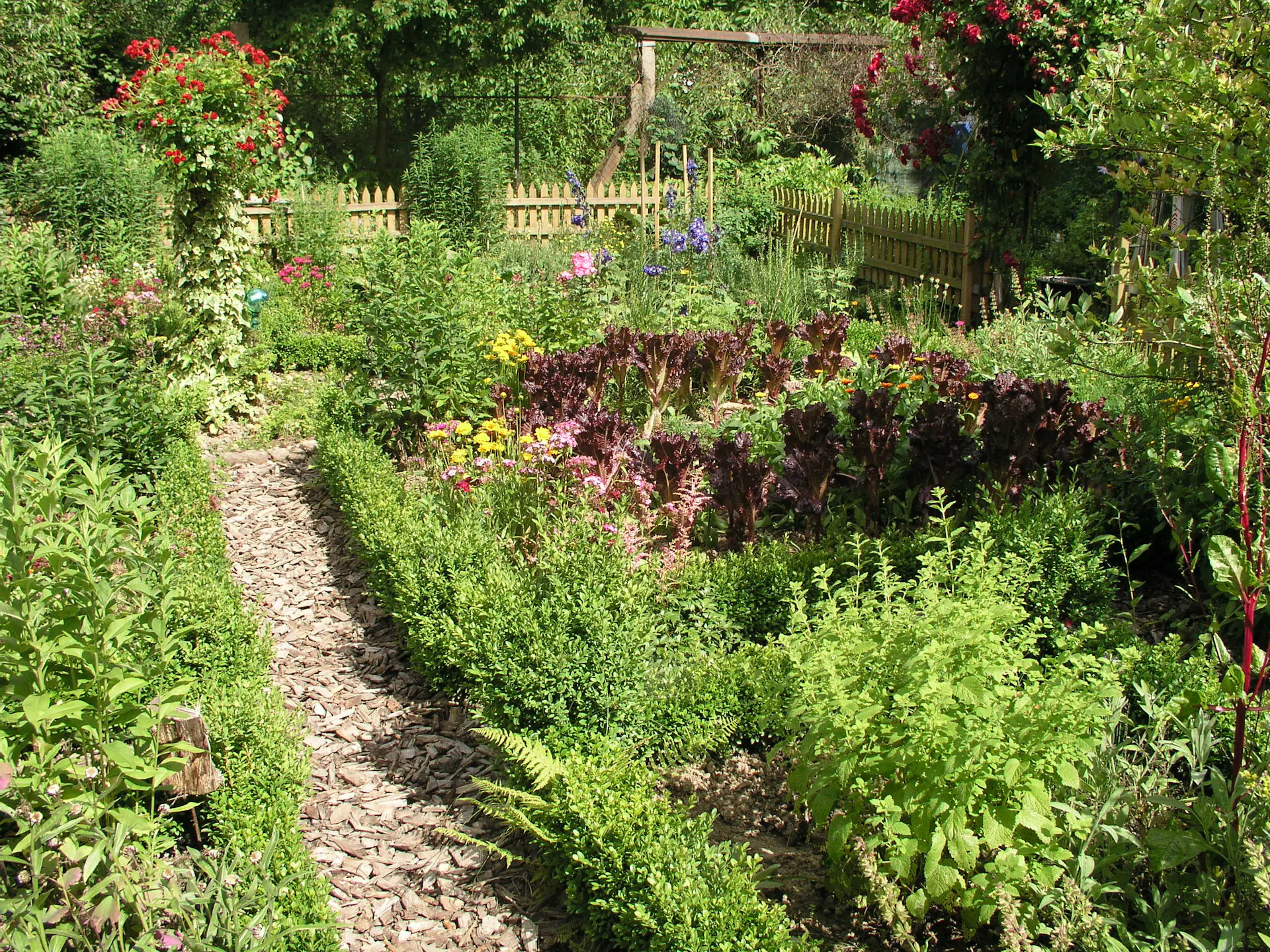Weg mit Rindenmulch im Garten
