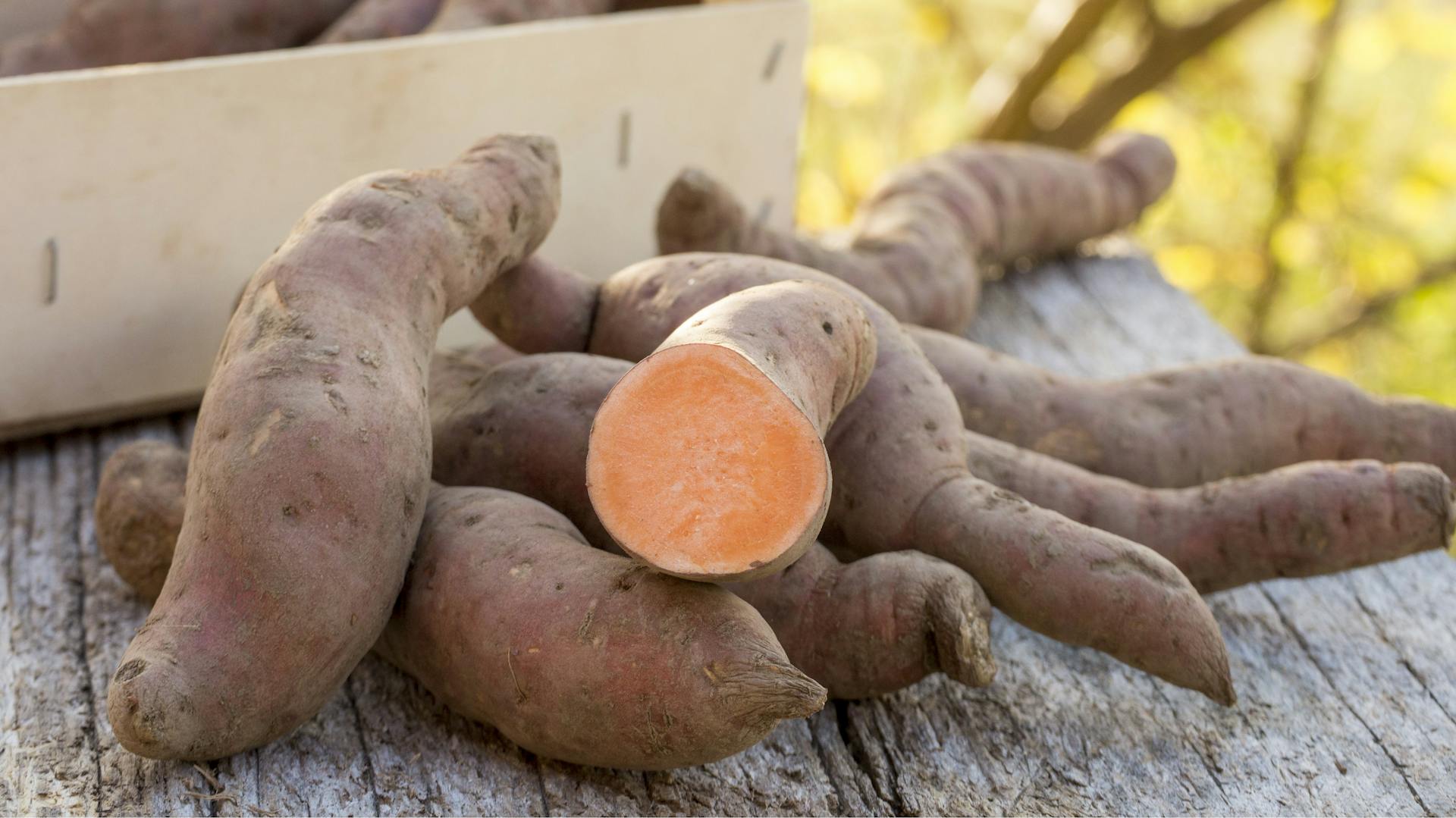 Eine Süßkartoffel liegt aufgeschnitten neben vielen Süßkartoffeln.