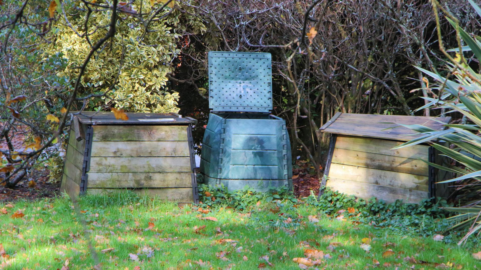 Zwei Holz-Thermokomposter stehen neben einem Kunststoff-Thermokomposter im Schatten am Rand einer Hecke.